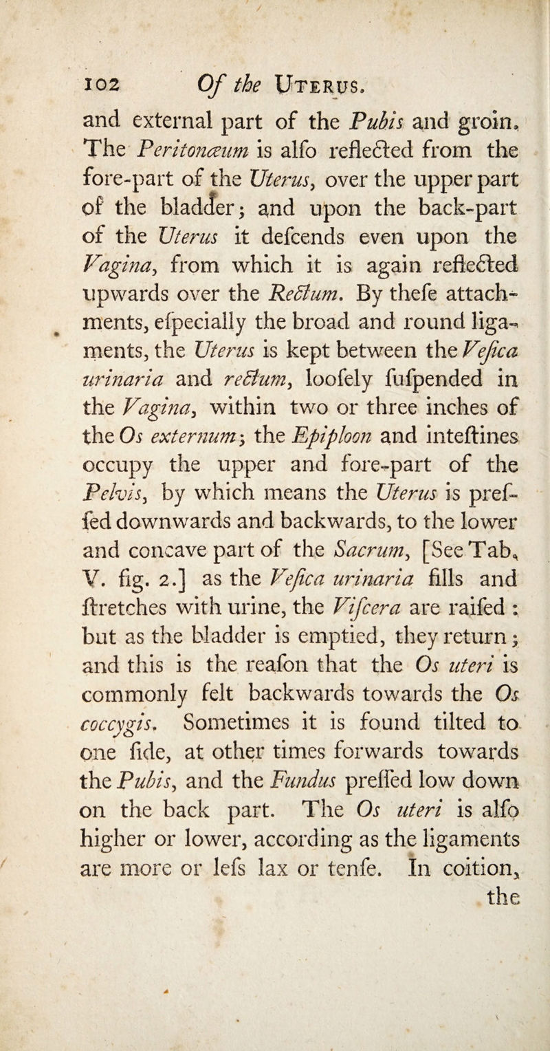 and external part of the Pubis and groin. The Peritoneum is alfo reflected from the fore-part of the Uterus, over the upper part of the bladder; and upon the back-part of the Uterus it defcends even upon the Vagina, from which it is again reflected upwards over the Rectum. By thefe attach¬ ments, efpecially the broad and round liga¬ ments, the Uterus is kept between the Vejica urinaria and reSturn, loofely fufpended in the Vagina, within two or three inches of the Os externum-, the Epiploon and inteftines occupy the upper and fore-part of the Pelvis, by which means the Uterus is pref- fed downwards and backwards, to the lower and concave part of the Sacrum, [See Tab, V. fig. 2.] as the Vejica urinaria fills and ftretches with urine, the Vifcera are raifed : but as the bladder is emptied, they return j and this is the reafon that the Os uteri is commonly felt backwards towards the Os coccygis. Sometimes it is found tilted to one fide, at other times forwards towards the Pubis, and the Fundus prefled low down on the back part. The Os uteri is alfo higher or lower, according as the ligaments are more or lefs lax or tenfe. In coition,