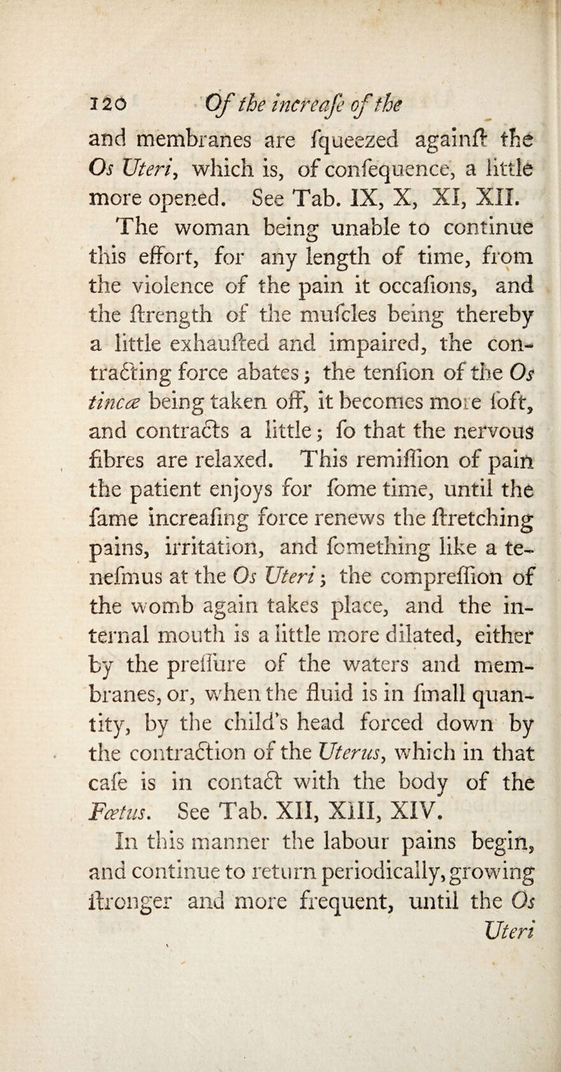 and membranes are fqueezed again# the Os Uteri, which is, of confequence, a little more opened. See Tab. JX, X, XI, XII. The woman being unable to continue this effort, for any length of time, from the violence of the pain it occafions, and the ftrength of the mufcles being thereby a little exhaulfed and impaired, the con- tradting force abates j the tenfion of the Os tinea being taken off, it becomes moie loft, and contracts a little; fo that the nervous fibres are relaxed. This remiffion of pain the patient enjoys for fome time, until the fame increafing force renews the ffretching pains, irritation, and femething like a te~ nefrnus at the Os Uteri; the compreflion of the womb again takes place, and the in¬ ternal mouth is a little more dilated, either by the preflure of the waters and mem¬ branes, or, when the fluid is in fmall quan¬ tity, by the child’s head forced down by the contraction of the Uterus, which in that cafe is in contadf with the body of the Feet us. See Tab. XII, XIII, XIV. In tins manner the labour pains begin, and continue to return periodically, growing ifronger and more frequent, until the Os Uteri