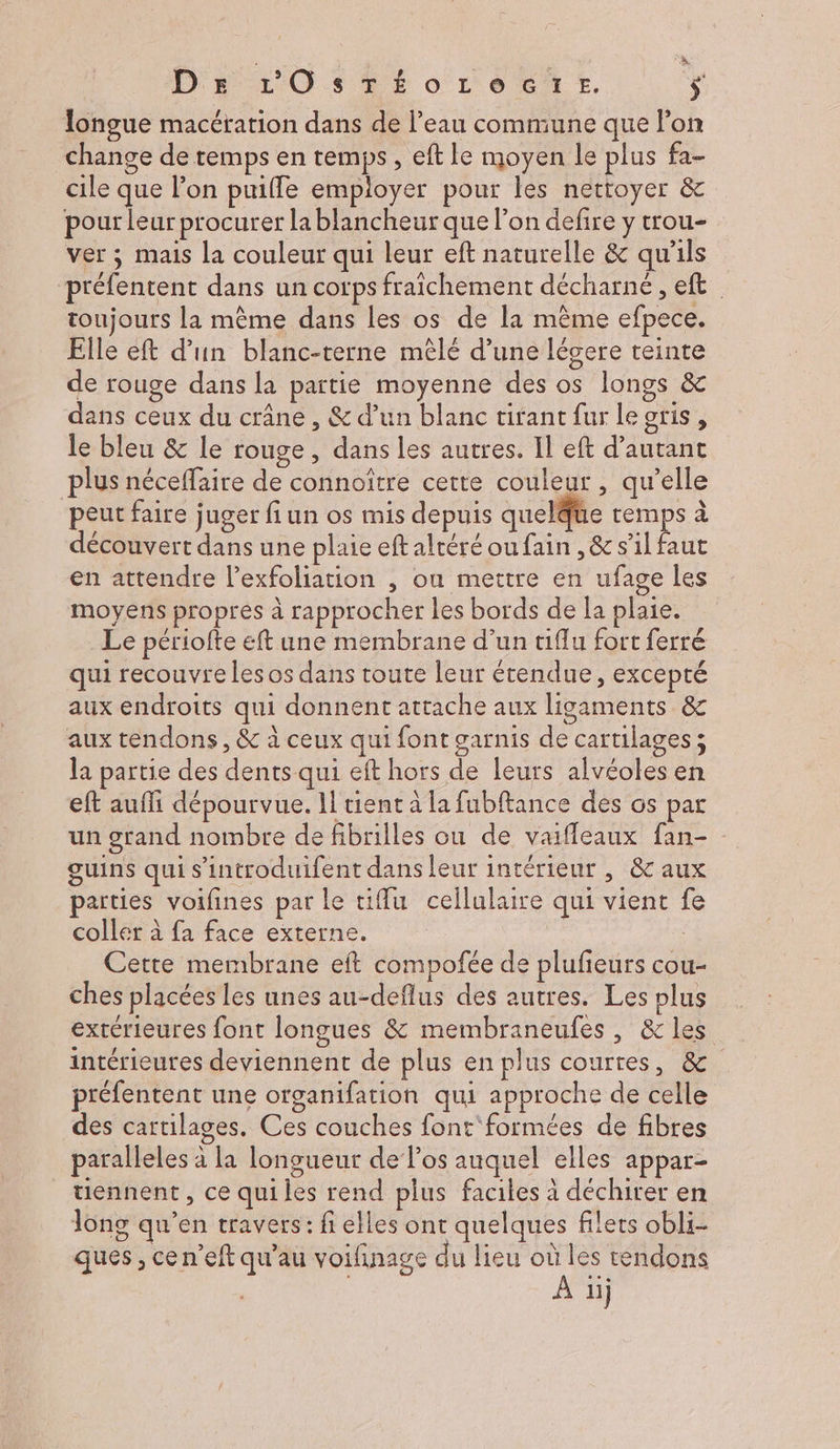 . Dr rOSES0orLeCtrEt, ÿ longue macération dans de l’eau commune que Fon change de temps en temps, eft le moyen le plus fa- cile que l’on puiffe employer pour les nettoyer & pour leur procurer la blancheur que l’on defire y trou- ver ; mais la couleur qui leur eft naturelle & qu'ils préfentent dans un corps fraîchement décharne, eft toujours La mème dans les os de la même efpece. Elle eft d’un blanc-terne mêlé d’une légere teinte de rouge dans la partie moyenne des os longs & dans ceux du crâne , & d’un blanc tirant fur le gris , le bleu & le rouge, dans les autres. Il eft d’autant plus néceffaire de connoître cette couleur , qu’elle peut faire juger fi un os mis depuis quelque temps à découvert dans une plaie eft alréré ou fain , & s’il faut en attendre l’exfoliation , ou mettre en ufage les moyens propres à rapprocher les bords de la plaie. Le périofte eft une membrane d’un ufu fort ferré qui recouvre les os dans toute leur étendue, excepté aux endroits qui donnent attache aux ligaments & aux tendons, & à ceux qui font garnis de cartilages; la partie des dents qui eft hors de leurs alvéoles en eft aufli dépourvue. Il tient à la fubftance des os par un grand nombre de fibrilles ou de vaifleaux fan- guins qui s'introduifent dans leur intérieur , & aux parties voifines par le tiffu cellulaire qui vient fe coller à fa face externe. | Cette membrane eft compofée de plufieurs cou- ches placées les unes au-deflus des autres. Les plus extérieures font longues & membraneufes, & les intérieures deviennent de plus en plus courres, & préfentent une organifation qui approche de celle des cartilages. Ces couches font'‘formées de fibres paralleles à la longueur de los auquel elles appar- uennent, ce qui les rend plus faciles à déchirer en Tong qu’en travers: fi elles ont quelques filets obli- ques , ce n'eft qu'au voifinage du lieu où les tendons A ii