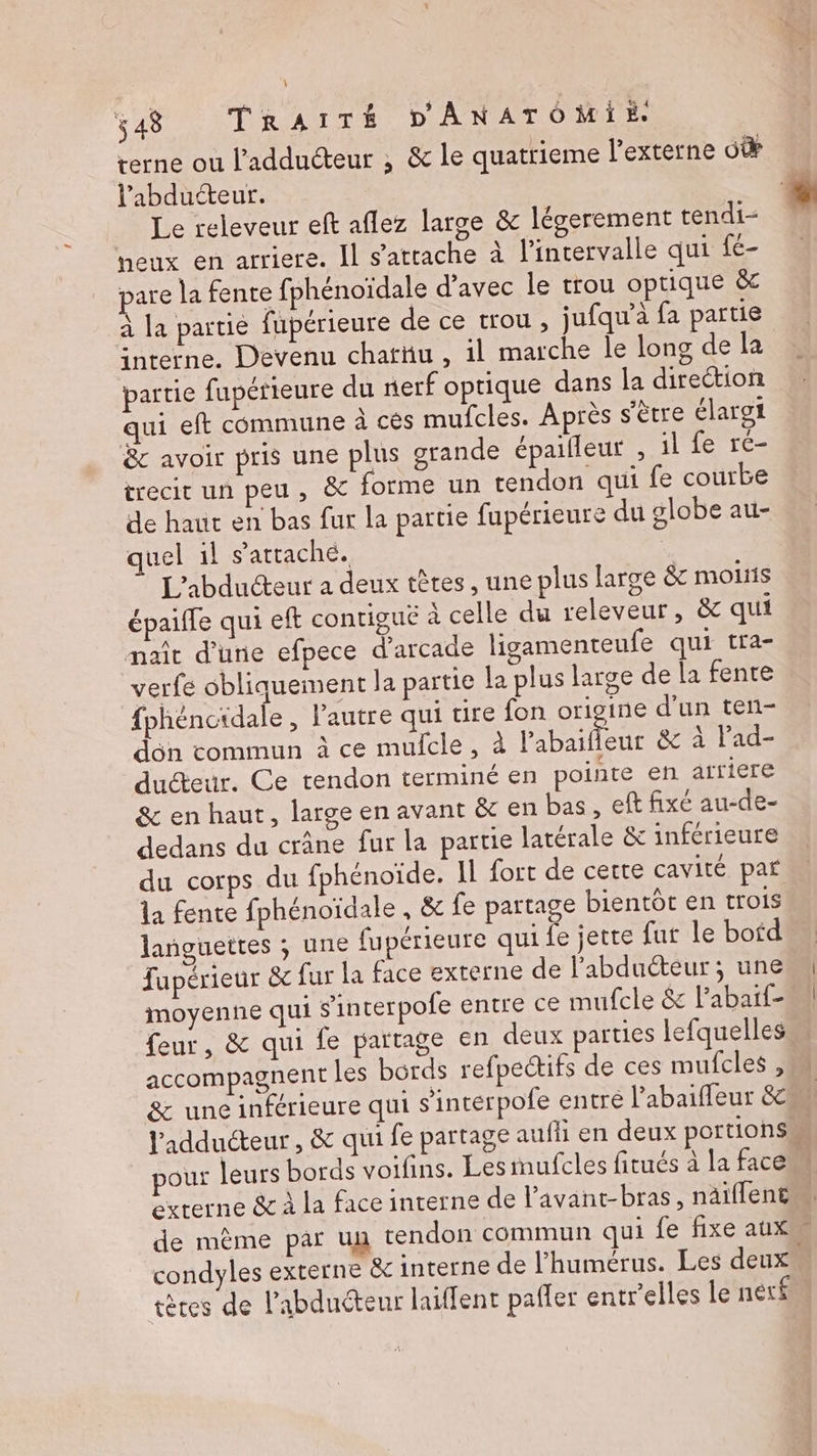 terne ou l'adducteur ; &amp; le quatrieme l’externe dû l’'abducteur. Le releveur eft aflez large &amp; légerement tendi- neux en arriere. Il s’atrache à l'intervalle qui fé- pare la fente fphénoïdale d'avec le trou optique &amp; à la partie fupérieure de ce trou, jufqu'’à fa partie “hterne. Devenu chatnu , il marche le long de la partie fupérieure du nerf optique dans la direction qui eft commune À ces mufcles. Après s’ëtre élargi 8 avoir pris une plus grande épailleur , il fe re- trecit un peu, &amp; forme un tendon qui fe courbe de haut en bas fur la partie fupérieure du globe au- quel il s’attaché. | L'abducteur a deux têtes, une plus large &amp; moitis épaiffe qui eft conrigue à celle du releveur, &amp; qui maît d’une efpece d'arcade ligamenteufe qui tra- verfe obliquement la partie la plus large de la fente fphéncidale, l'autre qui tire fon origine d'un ten- dôn commun à ce mulcle, à labailour &amp; à lad- ducteur. Ce tendon terminé en pointe en artiere &amp; en haut, large en avant &amp; en bas , eft fixé au-de- dedans du crâne fur la partie latérale &amp; inférieure du corps du fphénoïde. Il fort de cette cavité par la fente fphénoïdale , &amp; fe partage bientôt en trois languettes ; une fupérieure qui fe jette fur le botd fupérieur &amp; fur la face externe de l'abduéteur ; une moyenne qui s'interpofe entre ce mufcle &amp; labaïf- feur, &amp; qui fe partage en deux parties lefquelles accompagnent les bords refpectifs de ces mufcles , 8&amp; une inférieure qui s’incerpofe entre l’abaifleur &amp;e externe &amp; à la face interne de lavant-bras, näiffent tères de l’abducteur laiffent pafler entr'elles le nér£ L