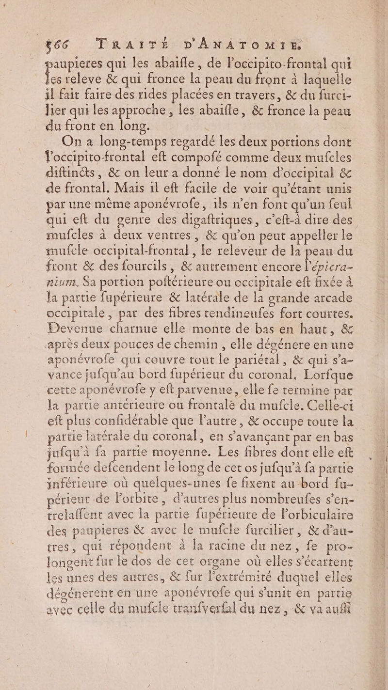 aupieres qui les abaifle, de Poccipito-frontal qui Le releve & qui fronce la peau du front à laquelle il fait faire des rides placées en travers, & du furci- Jier qui les approche, les abaifle, & fronce la peau du front en long. | On a long-temps regardé les deux portions dont Toccipito-frontal eft compofé comme deux mufcles diftincts, & on leur a donné le nom d’occipital & de frontal. Mais 1l eft facile de voir qu’étant unis par une même aponévrofe, ils n’en font qu’un feul qui eft du genre des digaftriques, c’eft-à dire des mufcles à deux ventres, & qu’on peut appeller le mufcle occipital-frontal , le reléveur de la peau du front & des fourcils, & autrement encore l'épicra- nium. Sa portion poitérieure ou occipitale eft fixée à la partie fupérieure & latérale de la grande arcade occipitale, pat des fibres tendineufes fort courtes. Devenue charnue elle monte de bas en haut, & après deux pouces de chemin, elle décénere en une aponévrofe qui couvre tout le pariétal, & qui s’a- vance jufqu’au bord fupérieur du coronal, Lorfque cette aponévrofe y eft parvenue, elle fe termine par la partie antérieure ou frontale du mufcle. Celle-ci eft plus confidérable que l’autre, & occupe toute la partie latérale du coronal, en s’avançant par en bas jufqu'à fa partie moyenne. Les fibres dont elle eft forinée defcendent le long de cet os jufqu’à fa partie inférieure où quelques-unes fe fixent au-bord fu- périeur de lorbite, d’autres plus nombreufes s'en- trelaffent avec la partie fupérieure de l’orbiculaire des paupieres & avec le mufcle furcilier, & d’au- tres, qui répondent à Îa racine du nez, fe pro. longent fur le dos de cet organe où elles s’écartent les unes des autres, & fur l'extrémité duquel elles dégénerent en une aponévrofe qui s'unit en partie avec celle du mufcle tranfverfal du nez, & va auf
