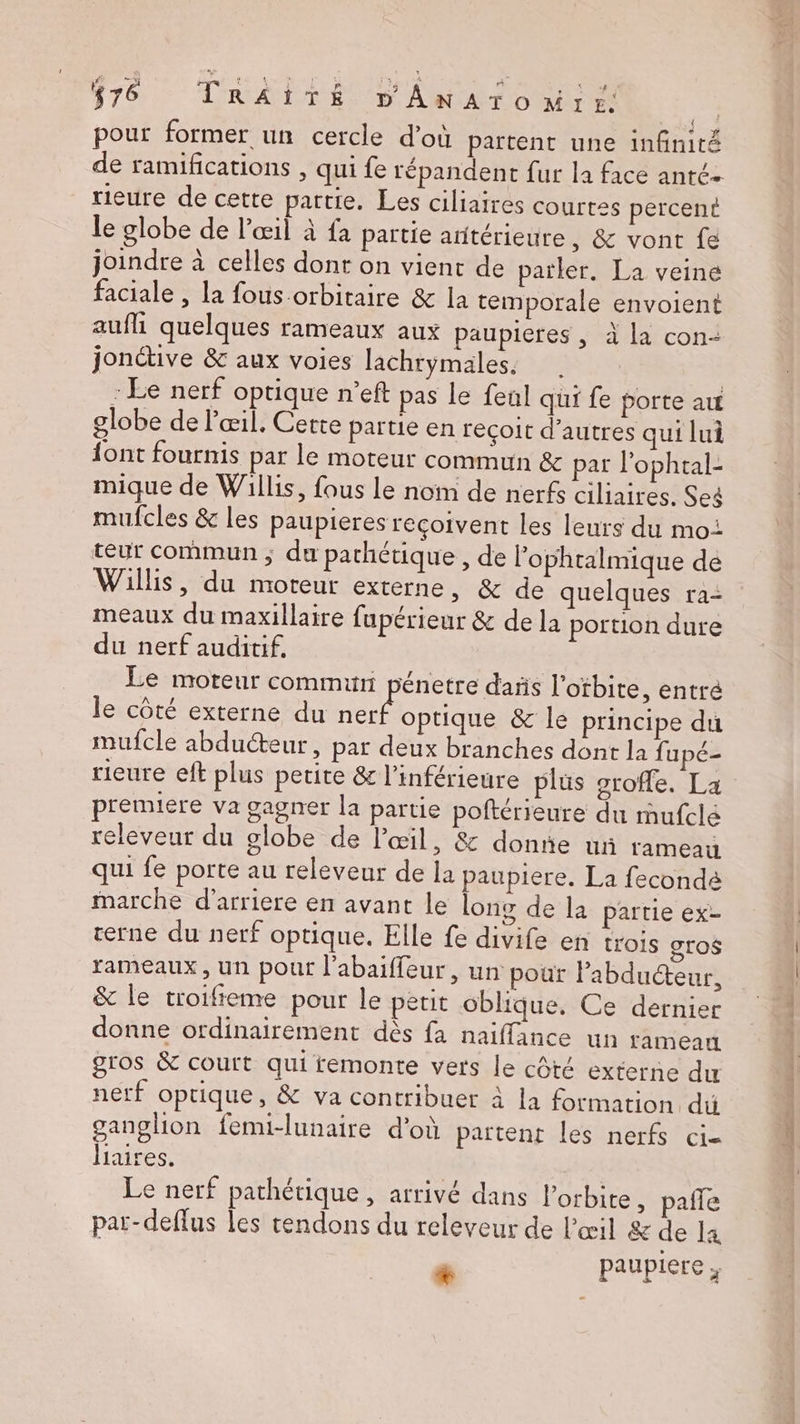 f76 .: DRAPTÉ 5 ANTON à pour former un cercle d’où partent une infinité de ramifications , qui fe répandent fur la face anté- rieure de cette partie. Les ciliaires courtes percent le globe de l'œil à fa partie aritérieure, & vont fe joindre à celles dont on vient de parler. La veine faciale , la fous orbitaire & la temporale envoient aufli quelques rameaux aux paupieres ,; à la con- jonctive & aux voies lachrymales. | : Le nerf optique n’eft pas le feal qui fe porte au globe de l'œil. Cette partie en recoit d’autres qui lui {ont fournis par le moteur commun & par l'ophtal- mique de Willis, fous Le nom de nerfs ciliaires. Ses mufcles & les Paupieres reçoivent les leurs du moi teur commun ; du pathétique, de l'ophtalmique de Willis, du moteur externe, & de quelques ra: meaux du maxillaire fupérieur & de la portion dure du nerf auditif, Le moteur commun pénetre daris l'otbite, entré le côté externe du oo & le principe du mufcle abducteur, pat deux branches dont la fupé- rieure eft plus petite & l’inférieure plus sroffe. La premiere va gagner la partie poftérieure du rufclé releveur du globe de l'œil, & donne ur rameau qui fe porte au releveur de la paupiere. La fecondé marche d’arriere en avant le long de la partie ex- terne du nerf optique. Elle fe divife en trois SrO$ rameaux, un pour l’abaiffeur, un pour labducteur, & le troifieme pour le petit oblique, Ce dernier donne ordinairement dès fa naiffance un rameau gros & court qui remonte vers le côté externe du nerf optique, & va contribuer à la formation di ganglion femi-lunaire d’où partent les nerfs ci- Haires. Le nerf pathétique, arrivé dans orbite, pañle par-deflus les tendons du releveur de l'œil & de la + paupiere x P FA Pi