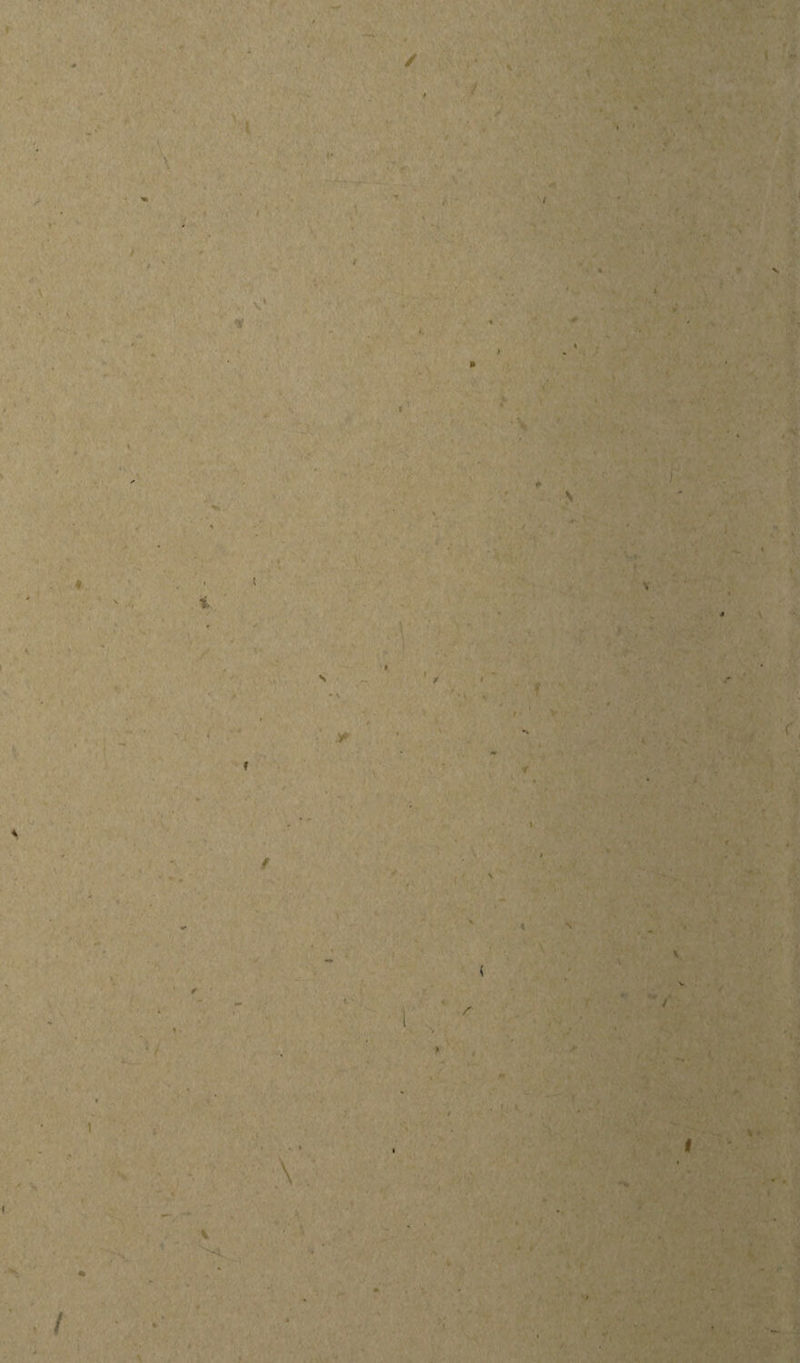 I ♦ 1 v 4 / 1 \ t t \ \ a I