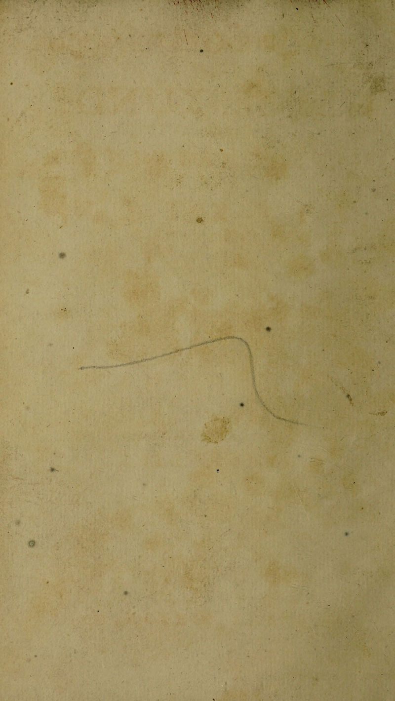 rC^ i' 4« : ■ ■ \