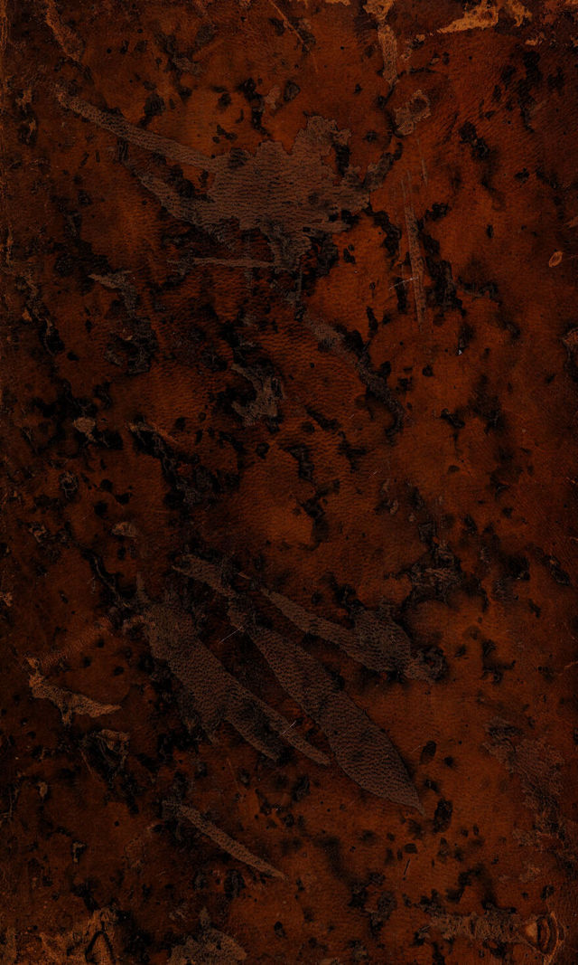 No text description is available for this image