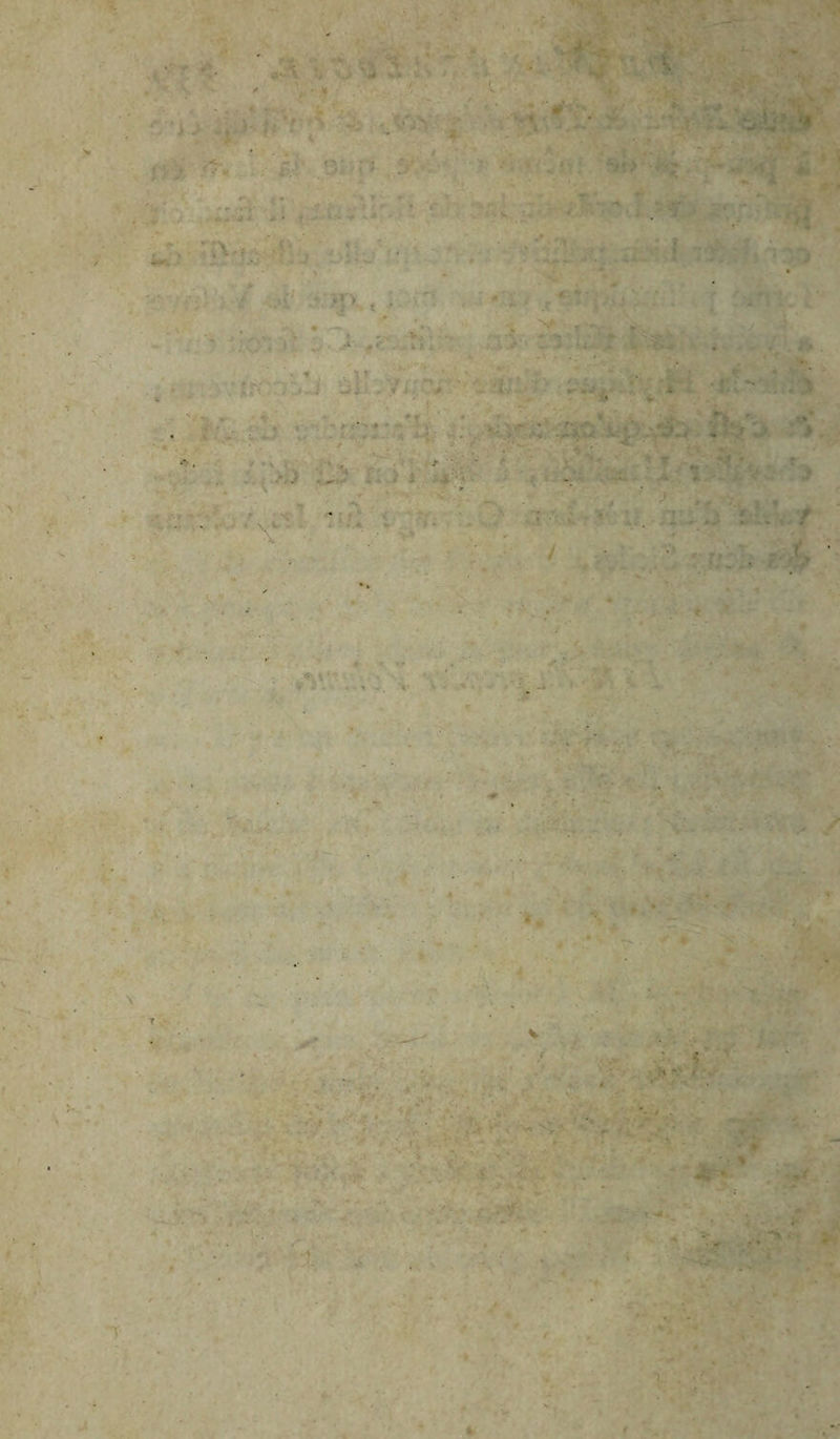 \ f: • 1 ‘JiMf. J-