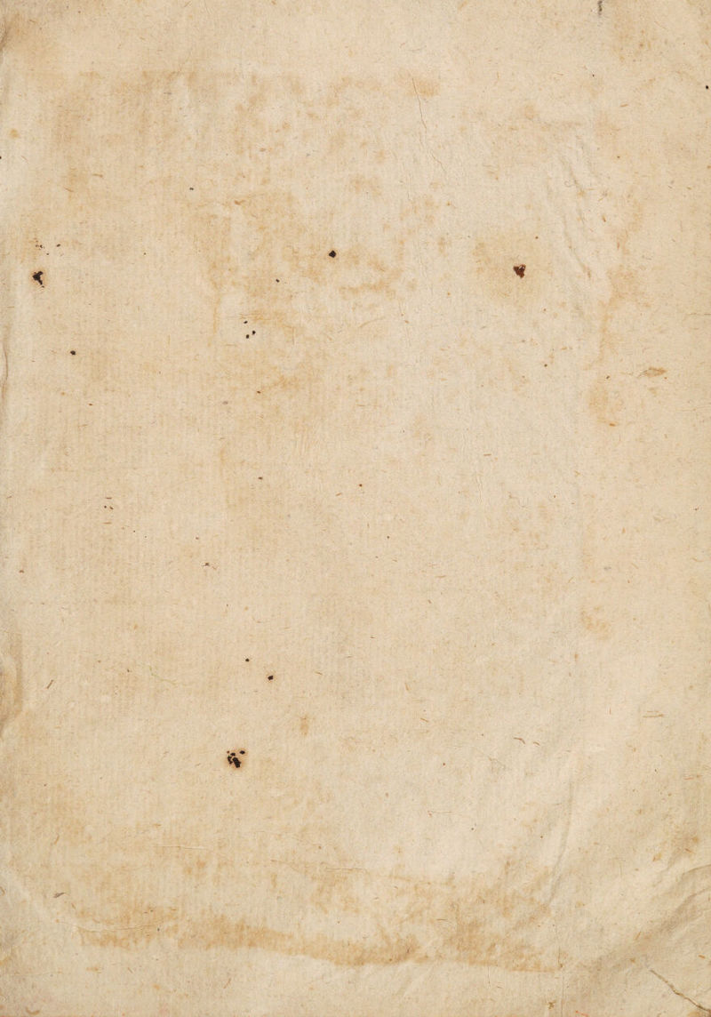 \ r K v f * v,: o%„ ; •