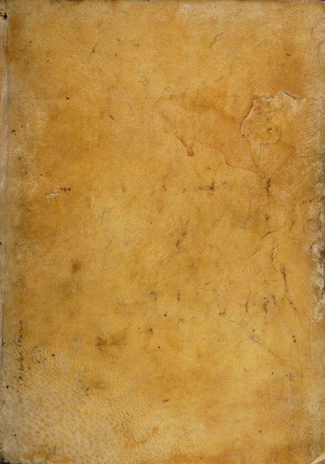 digitised image 1