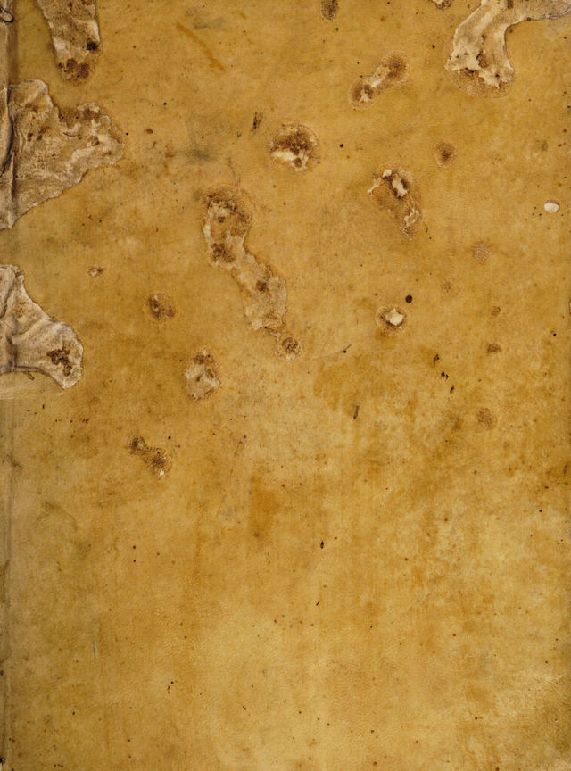 digitised image 1