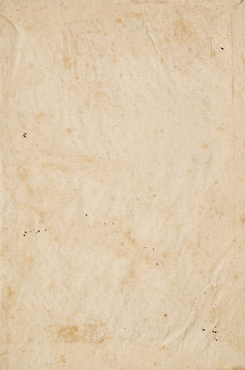 . ff y ' *. \ ; . V % ■ ,- ' ... > • \ *