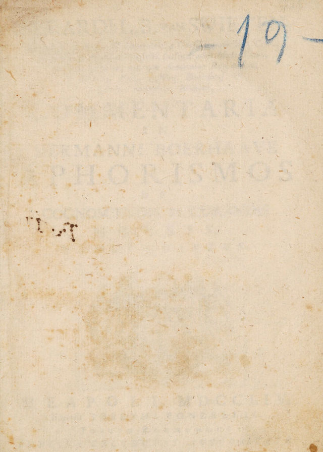 digitised image 3