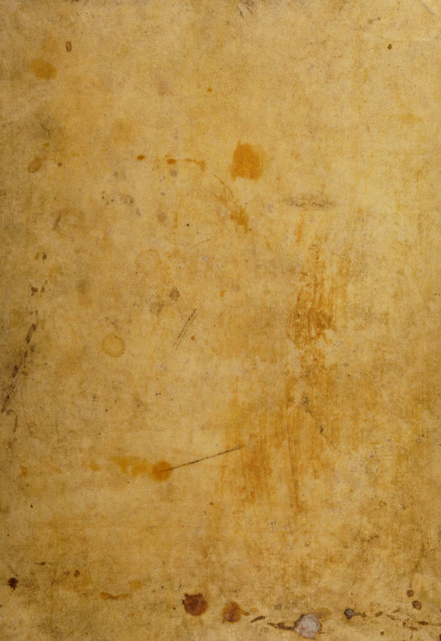 digitised image 1
