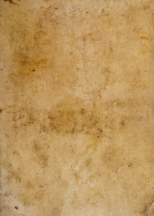 digitised image 1