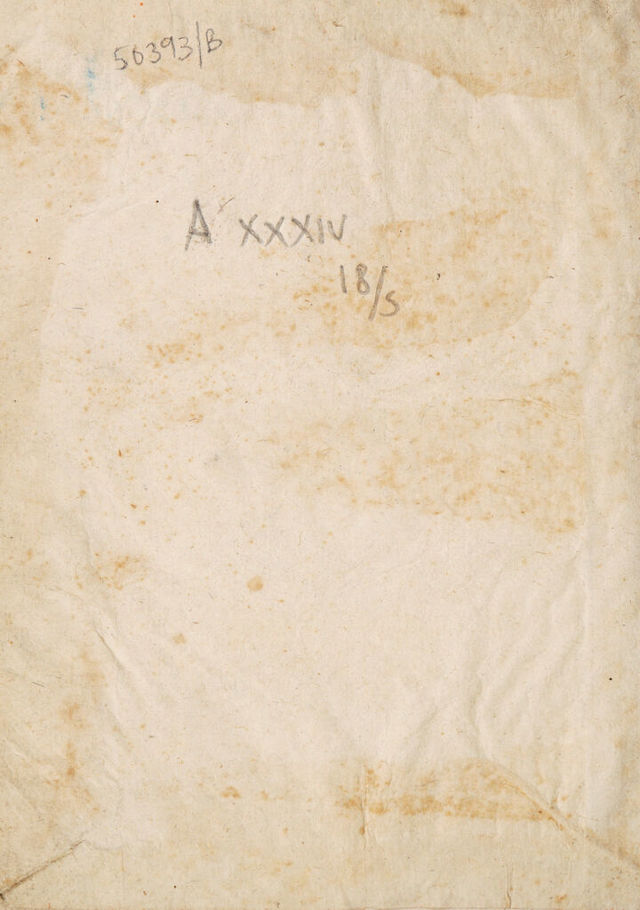 digitised image 2