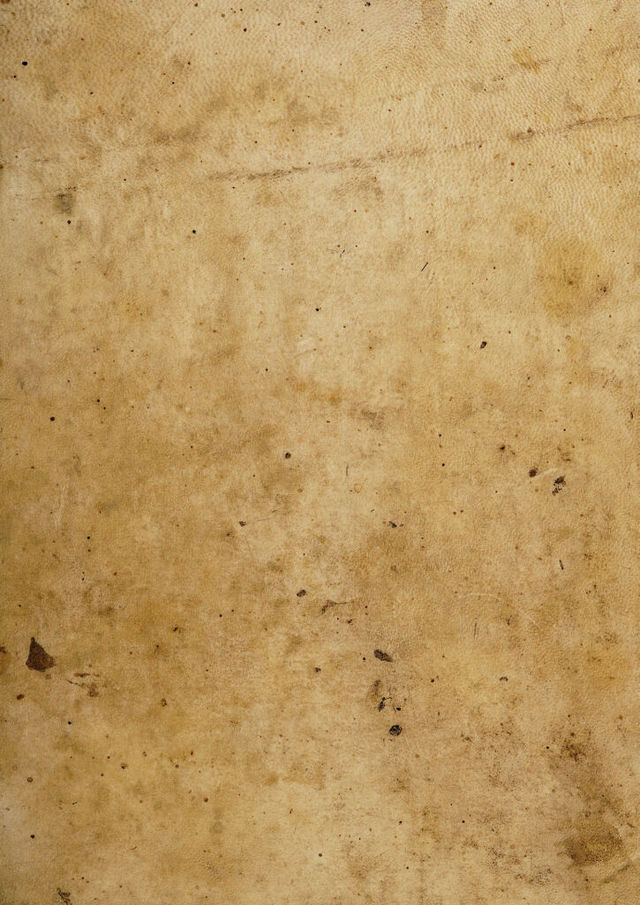 digitised image 1