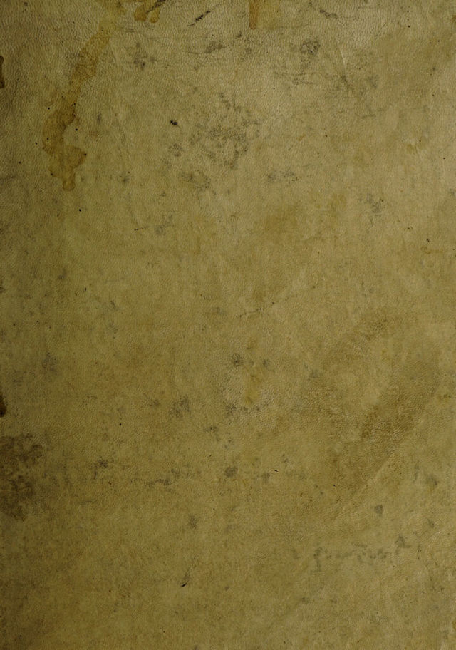 digitised image 1