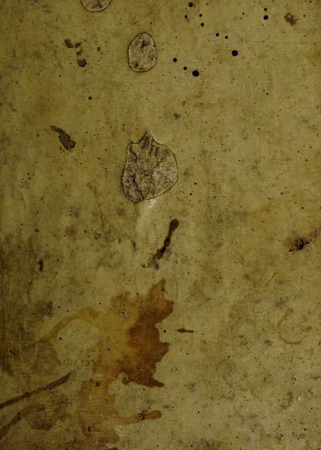 digitised image 1