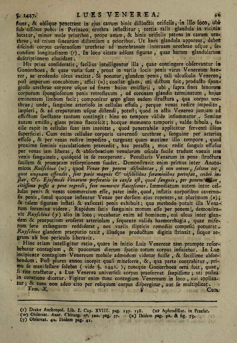 flune, & oblique penetrant in ejus cavum binis diftin£lis orificiis, in Illo loco, ub^ fub oiTibus pubis in Perinaeo urethra infleftitur ; tertia talis glandula in vicinia locatur, minor mole prioribus, prope anum, & binis orificiis patens in cavum ure-» thrae, ad trium linearum difiantiam a prioribus. Ut haec glandula appareat, debefr difcindi corpus cavernofum urethrae ad membranam internam urethrae ufque , fe-» eundum longitudinem (r). In loco citato adfunt figurae , quae harum glandularum deferiptionem elucidant. His prius confideratis, facilius intelligentur illa , quae contingere obfervantur in Gonorrhoea, & quae varia funt , prout in variis locis penis virus Venereum hae¬ ret, ac erodendo ulcus excitat. Si ponatur, glandem penis, tali ulcufculo Venereo, pofi impurum concubitum, affici («); confiat glans, uti diftura fuit, prodmSo fpon- giofo urethrae corpore ufque ad finem hujus emifiarii , ubi , fupra fines binorum corporum fpongioforum penis retroflexum , ad coronam glandis terminatum , hujus eminentem limbum facit; componitur ergo glans eadem fiiruftura , qua corpus ure¬ thrae ; unde, fanguine arteriofo in cellulas effufo , perque venas redire impedito , impleri, & ad crepaturam ufque difiendi, poteft; quod in aftu Venereo jamjam ad effe61um fpeftante tantum contingit: hinc eo tempore valide inflammatur . Semine autem emiflb, glans primo flaccefeit; hocque momento temporis , valde bibula , fa¬ cile rapit in cellulas fuas jam inanitas , quod penetrabile applicatur ferventi illius fuperficiei. Cum enim cellulae corporis cavernofi urethrae , fanguine per arterias effufo , & per venas redire impedito , turgeant quam maxime illo tempore , quod proxime feminis ejaculationem praecedit , hac perafta , mox redit fanguis effufus per venas jam liberas, &'abforbeatium venularum ofcula facile tradunt vacuis jam venis fanguineis, quidquid in fe receperant . Peculiaris Venarum in pene flru6fura facilem & promptam reforptionem fuadet. Demonflravit enim primus inter Anato¬ micos Rutfchlus (w) , quod Venae pet penem dtjlrlbutae , fi non omnes ^ faltem tot , ^uot unquam offendit j fint poris magnis & vifibiUbus foraminibus pertufae ^ cribri in^ fiar^ &c» Ejufmodi Venarum perforatio in eaufa efl^ quod fanguis^ per penem^^tf^^x ^ citijfme pojjit a pene regredi^ fere momento flaccefcente» Immediatum autem inter cel¬ lulas penis & venas commercium effe, patet inde,quod, inflatis corporibus caverno- fis penis, fimul quoque inflentur Venae per dorfum ejus repentes, ut plurimum (x); & talem figuram inflati & exficcati penis exhibuit; qua methodo potuit ilia Vena¬ tum foramina videre. Rapidum fatis fanguinis motum effe per penem [, demonfira-^ vit Ruyfchius (j/) alio in loco; vocabatur enim ad hominem, cui ulcus inter glan¬ dem & praeputium eroferat arteriolam , fequente valida haemorrhagia , quae mife- rum fere exfapguem reddiderat , nec variis flipticis remediis compefei potuerat, Ruyfchius glandem praeputio texit , illudque produ6lum digitis flrinxit, ficque ae¬ grum ab hoc periculo liberavit. Hinc etiam intelligitur ratio, quare in initio Luis Venereae tam prompte refor- bebatur contagium , & paucorum dierum fpatio totum corpus inficiebar. In Lue incipiente contagium Venereum mobile admodum videtur fuiffe , & facillime abfor- bendum . Pofl plures annos incepit quafi mitefeere, &, qua parte contrahitur, pri- ino fe manifefiare folebat ( vide §. 1442. ), tuneque Gonorrhoea ort^ fuit, quae, ^ rite trailetur, a Lue Venerea univerfali corpus praefervat faepiffime ; uti poflea in curatione dicetur. Figitur enim tunc contagium Venereum in loco , cui applica¬ tur; & tunc non adeo cito per reliquum corpus difpergitur, aut fe multiplicat. ? Tom. X. W Curti O) Drake Anthropol. Lib. I. Cap. XVIII. pag. 137. 138, Cu9 Aphrodifiac» in Pracfat# Cw) Obfervat. Anat. Chirurg. ica» pag, 97. (x} Ibidem pag. 96. dS: fig. 75.