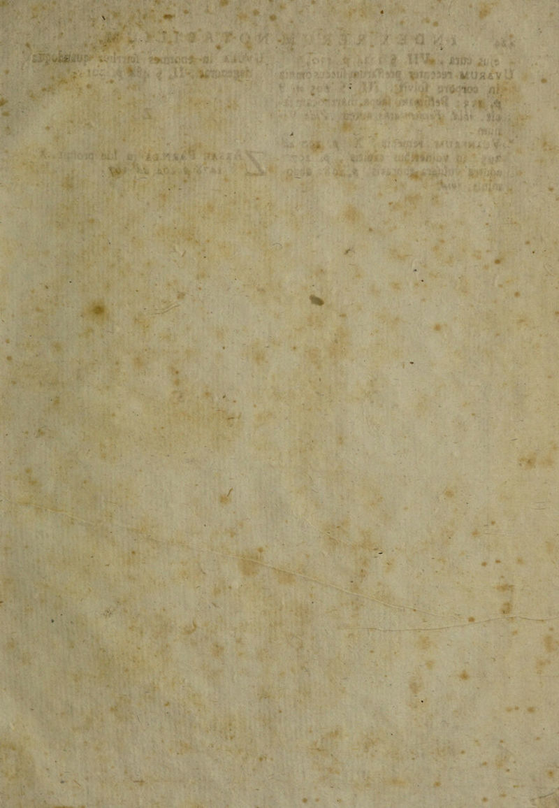 .V' V f Ji. -u '-S' .»■ i: ■ ( . X ' V' ( « * T ^ H-J ■ 'C r/ « ^: ■ i •.i, * V «■ - * ■• iiX 4:,) X ■:V^. 'KO:. ■ '-: I > r A ■ mr' - • y ' *-■ -4i t j \ -’'i . . I ^ \ X ■\ , ■% ., < • *>> i >■ V \ « ♦>