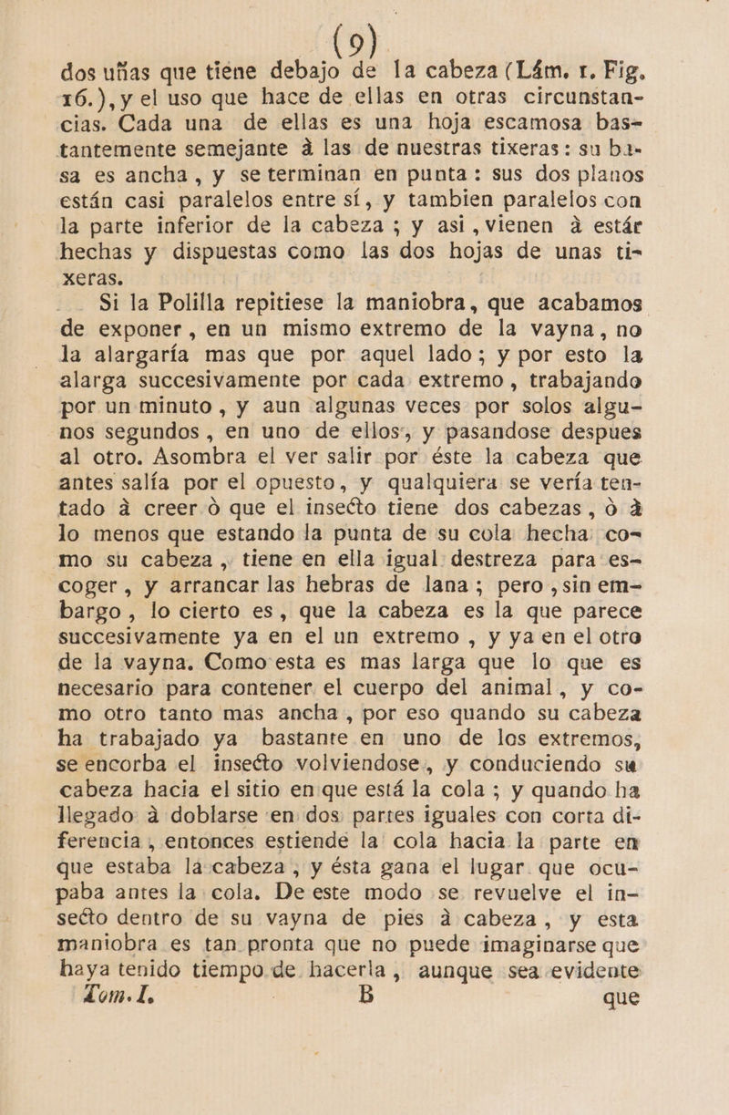 dos uñas que tiene debajo de la cabeza (Lám. r. Fig, 16.), y el uso que hace de ellas en otras circunstan- cias. Cada una de ellas es una hoja escamosa bas- tantemente semejante á las de nuestras tixeras: su ba= sa es ancha, y seterminan en punta: sus dos planos están casi paralelos entre sí, y tambien paralelos con la parte inferior de la cabeza ; y así , vienen a estár hechas y dispuestas como las dos hojas de unas ti- xeras. | j Si la Polilla repitiese la maniobra, que acabamos de exponer, en un mismo extremo de la vayna, no la alargaría mas que por aquel lado; y por esto la alarga succesivamente por cada extremo , trabajando por un minuto , y aun algunas veces por solos algu- -nos segundos , en uno de ellos, y pasandose despues al otro. Asombra el ver salir por éste la cabeza que antes salía por el opuesto, y qualquiera se vería ten- tado a creer.ó que el insecto tiene dos cabezas, 0 ád lo menos que estando la punta de su cola hecha: co= mo su cabeza , tiene en ella igual destreza para: es- coger, y arrancar las hebras de lana; pero ,sin em- bargo , lo cierto es, que la cabeza es la que parece succesivamente ya en el un extremo , y ya en el otro de la vayna. Como esta es mas larga que lo que es necesario para contener. el cuerpo del animal, y co- mo otro tanto mas ancha , por eso quando su cabeza ha trabajado ya bastante en uno de los extremos, se encorba el inseéto volviendose., y conduciendo su cabeza hacia el sitio en que está la cola ; y quando ha llegado: a doblarse en dos: partes iguales con corta di- ferencia , entonces estiende la cola hacia la parte en que estaba la cabeza , y ésta gana el lugar. que ocu- paba antes la cola. De este modo se revuelve el in- seéto dentro de su vayna de pies d cabeza, y esta maniobra es tan pronta que no puede imaginarse que haya tenido tiempo. de hacerla, aunque sea evidente Lom. 1. i B que