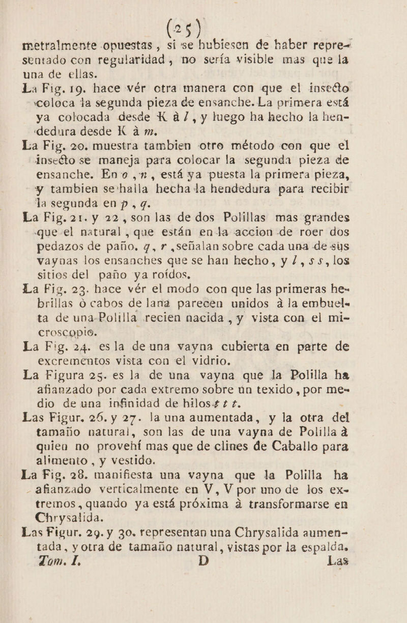 metralmente opuestas , sí se hubiesen de haber repre= sentado con regularidad, no sería visible mas que la una de ellas. La Fig. 19. hace vér otra manera con que el insecto coloca la segunda pieza de ensanche. La primera está ya colocada desde K a/,y luego ha hecho la hen- dedura desde K á m. La Fig. 20. muestra tambien -otro método con que el Inseéto se maneja para colocar la segunda pieza de ensanche. Eno , 1, está ya puesta la primera pieza, y tambien se'halla hecha la hendedura para recibir la segunda en p, q. : La Fig. 21. y 22,son las de dos Polillas mas grandes que el natural, que están enla accion de roer dos pedazos de paño. q, r ,señalan sobre cada una de sus vaynas los ensanches que se han hecho, y l,5s5,los sitios del paño ya roídos, La Fig. 23. hace vér el modo con que las primeras he- brillas o cabos de lana parecen unidos a la embuel. ta de uva-Polilla recien nacida , y vista con el mi- croscapio. : La Fig. 24. esla de una vayna cubierta en parte de excrementos vista con el vidrio. La Figura 25. es la de una vayna que la Polilla ha afñanzado por cada extremo sobre un texido , por me- dio de una infinidad de hilos £ £. Las Figur, 26. y 27. la una aumentada, y la otra del tamaño natural, son las de una vayna de Polilla ad quien no provehí mas que de clines de Caballo para alimento , y vestido. La Fig. 28. manifiesta una vayna que la Polilla ha - afianzado verticalmente en V, V por uno de los ex- tremos, quando ya está próxima a transformarse en Chrysalida. Las Figur. 29. y 30. representan una Chrysalida aumen- tada, y otra de tamaño natural, vistas por la espalda. Tom. I, D Las