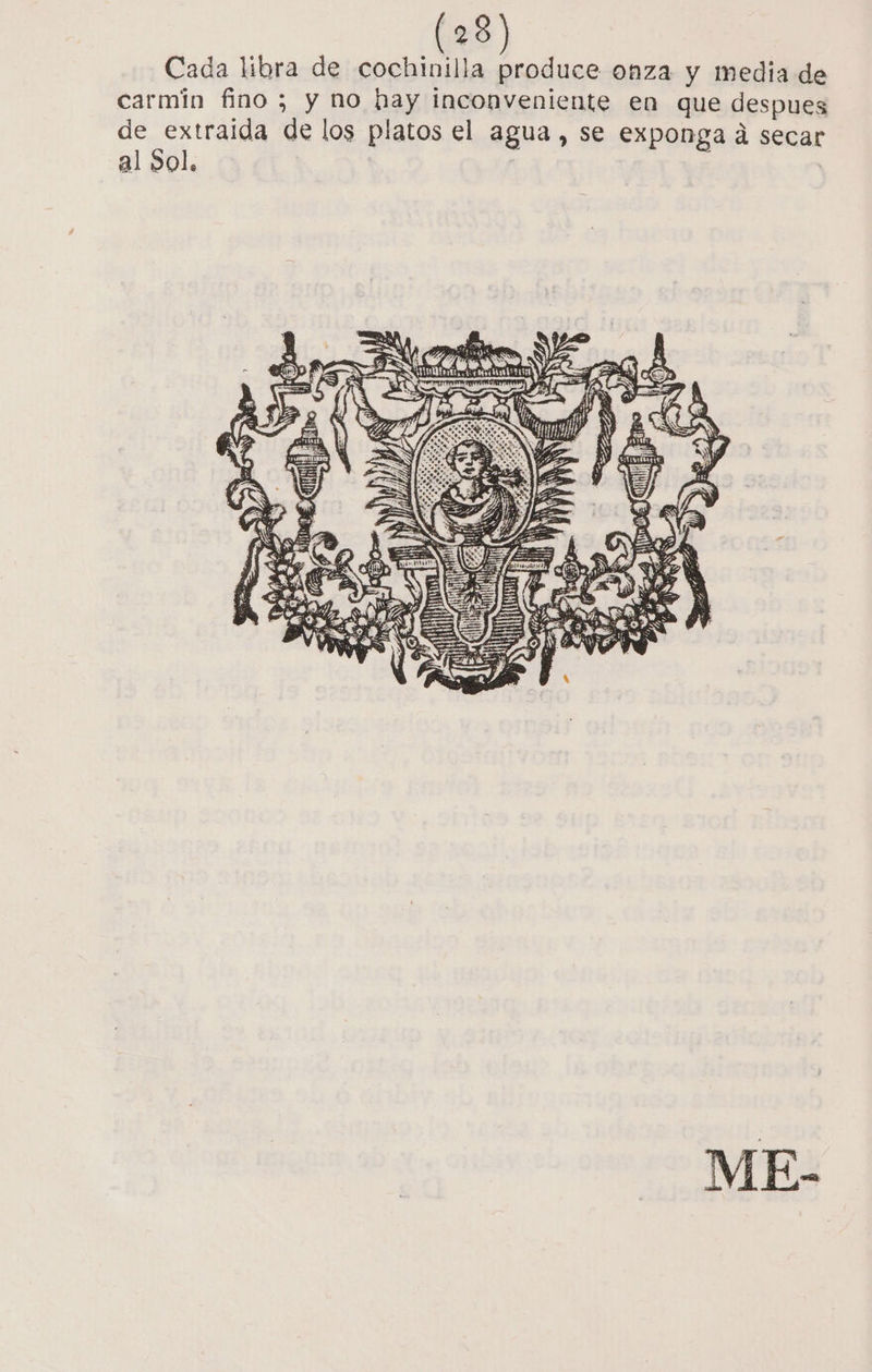 Cada libra de cochinilla produce onza y media de carmín fino ; y no hay inconveniente en que despues de extraida de los platos el agua , se exponga á secar al Sol, : : NN e S Y - + IES SN E SN : Di, q SN YU ps NE ce doma YESA = - ME-