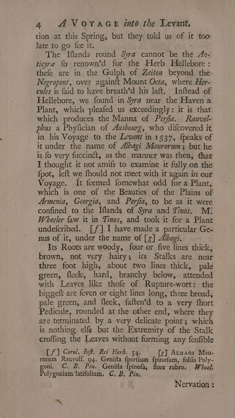 tion at this Spring, but they told us of it too late to go fee it. | ES sé à The Iflands round Syrz cannot be the #- ticyre fo renown’d for the Herb Hellebore : thefe are in the Gulph of Zeiton beyond the Negropont, over againft Mount Oeta, where Her- cules is faid to have breath’d his laft. Inftead of Hellebore, we found in Syrz near the Haven a Plant, which pleafed us exceedingly: it is that which produces the Manna of Perfia. Rauvol- pbus a Phyfician of Aushourg, who difcovered it in his Voyage to the Levant in 1537, fpeaks of it under the name of Albagi Maurorum ; but he is fo very fuccinét, as the manner was then, that I thought it not anufs to examine it fully on the {pot, left we fhould not meet with it again in our Voyage. It feemed fomewhat odd fora Plant, which is one of the Beauties of the Plains of Armenia, Georgia, and Perfia, to be as it were confined to the Iflands of Syra and Tinos. M. Wheeler faw it in Tinos, and took it for a Plant undefcribed. [f] 1 have made a particular Ge- nus of it, under the name of [¢] bagi. Its Roots are woody, four or five lines thick, brown, not very hairy; its: Stalks are near three foot high, about two lines thick, pale green, fleck, hard, branchy below, attended with Leaves like thofe of Rupture-wort: the biggeft are feven or eight lines long, three broad, pale green, and fleek, faften’d to a very fhort Pedicule, rounded at the other end, where they are terminated by a very delicate point; which is nothing elfe but the Extremity of the Stalk crofling the Leaves without forming any fenfible CS] Corol. inf. Rei Herb. 54. [g] Atuacr Mau- _ rorum Rauvolf. 94. Genifta fpartium fpinofum, foliis Poly- goni. C. B. Pin. Genifta fpinofa, flore rubro. Wheel. Polygonium latifolium. C, B. Piz. Nervation :