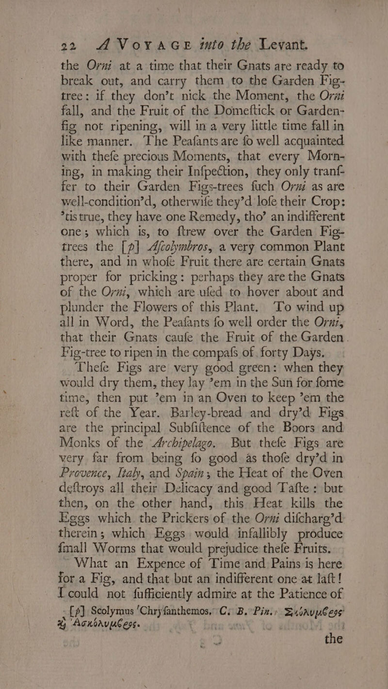 the Ori at a time that their Gnats are ready to break out, and carry them to the Garden Fig- tree: if they don’t nick the Moment, the Orwi fall, and the Fruit of the Domeftick or Garden- fig not ripening, will in a very little time fall in like manner. The Peafants are fo well acquainted with thefe precious Moments, that every Morn- ing, in making their Infpeétion, they only tranf- fer to their Garden Figs-trees fuch Or as are well-condition’d, otherwife they’d lofe their Crop: *tis true, they have one Remedy, tho’ an indifferent one; which is, to ftrew over the Garden Fig- trees the [p| A/colymbros, a very common Plant there, and in whofe Fruit there are certain Gnats proper for pricking: perhaps they are the Gnats of the Ovni, which are.ufed to hover about and plunder the Flowers of this Plant. To wind up all in Word, the Peafants fo well order the Oruz, that their Gnats caufe the Fruit of the Garden. Fig-tree to ripen in the compafs of forty Days. Thefe Figs are very good green: when they would dry them, they lay ?em in the Sun for fome time, then put ’em 1n an Oven to keep ’em the reft of the Year. Barley-bread and dry’d Figs are the principal Subfiftence of the Boors and Monks of the Archipelago. But thefe Figs are very far from being fo good as thofe dry’d in Provence, Italy, and Spain, the Heat of the Oven deftroys all their Delicacy and good Tafte : but then, on the other hand, this Heat kills the Eggs which the Prickers of the Oru difcharg’d therein; which Eggs would infallibly produce {mall Worms that would prejudice thele Fr uits. What an Expence of Time and Pains is here for a Fig, and that but an indifferent one at laft! T could not fufficiently admire at the Patience of : Es] Scolymus 'Chry fithemas C: B. Pin. SubauuCess x; Agnoruuless. : Mi ont the