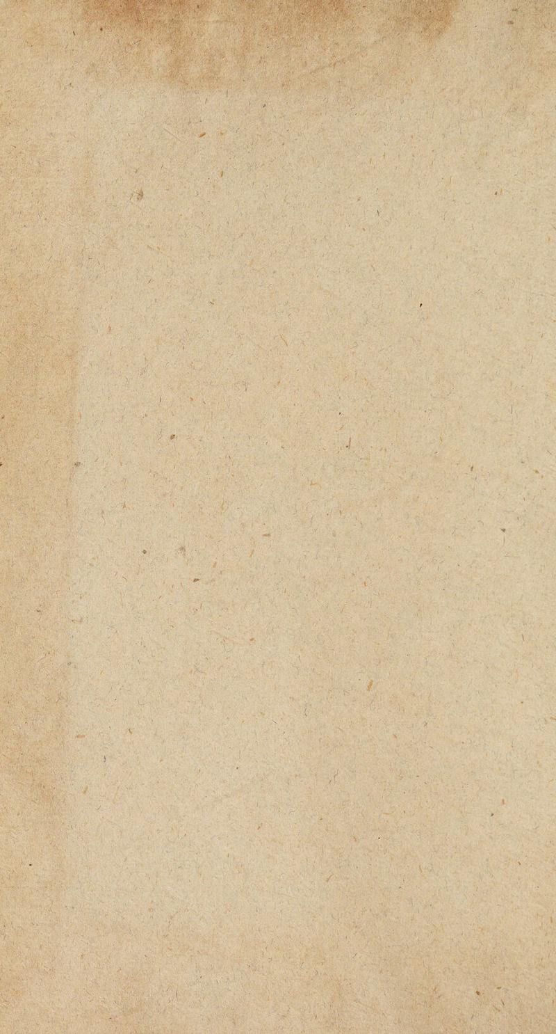 VW ■ iy: ,v , ' .-A/ S > , . 1'• ’ f • •' ^ . i r . 1 ,.'... \ 1 V'14'.’ - w:/ ■. k \ m \ /■ \ ' V ;-y'v 7- • . . ..V . • \ fix .-(•X * * • s '• ’ ■■ , ■ ■