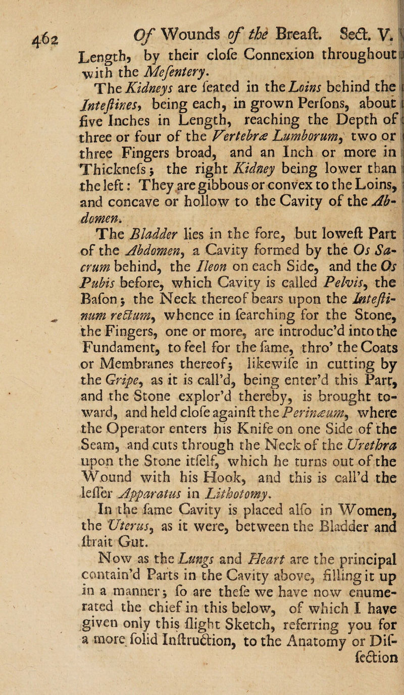Length, by their clofe Connexion throughout i with the Mefentery. The Kidneys are feared in thz Loins behind the f Inteflines, being each, in grown Perfons, about 1 five Inches in Length, reaching the Depth of: three or four of the Vertebra Lumborum, two or ;| three Fingers broad, and an Inch or more in Thicknefs j the right Kidney being lower than the left: They are gibbous or convex to the Loins, \ and concave or hollow to the Cavity of the Ab¬ domen. The Bladder lies in the fore, but loweft Part of the Abdomen, a Cavity formed by the Os Sa¬ crum behind, the lie on on each Side, and the Os Pubis before, which Cavity is called Pelvis, the Bafon j the Neck thereof bears upon the Intefli- num reBum% whence in fearching for the Stone, the Fingers, one or more, are introduc’d into the Fundament, to feel for the fame, thro’the Coats or Membranes thereof3 likewife in cutting by the Gripe, as it is call’d, being enter’d this Parr, and the Stone explor’d thereby, is brought to¬ ward, and held clofe again ft the Perinaum, where the Operator enters his Knife on one Side of the Seam, and cuts through the Neck of the Urethra upon the Stone itfelf, which he turns out of the Wound with his Hook, and this is call’d the Idler Apparatus in Lithotomy. In the fame Cavity is placed alfo in Women, the Uterus, as it were, between the Bladder and Hi ait Gut. Now as tht Lungs and Heart are the principal contain’d Parts in the Cavity above, filling it up in a manner, fo are thcfe we have now enume¬ rated the chief in this below, of which I have given only this flight Sketch, referring you for a more folid Inftruftion, to the ilnatomy or De¬ fection