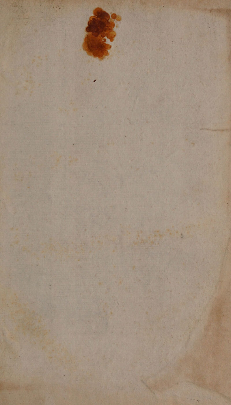 ve