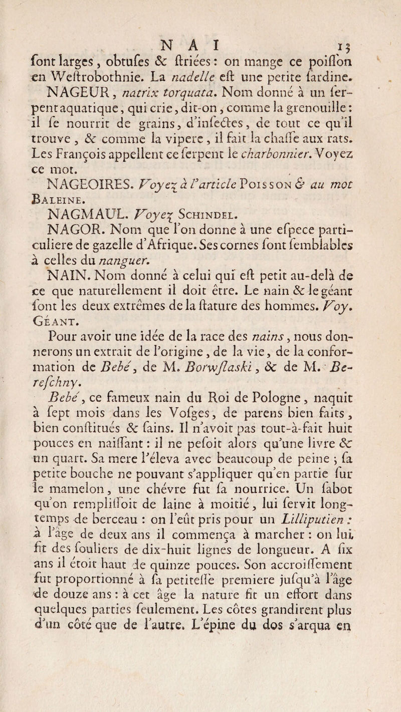 font larges, obtufes de ftriées : on mange ce poilfon en Weftrobothnie. La nadelle eft une petite (ardine. NAGEUR, natrix torquata. Nom donné à un ier- pentaquatique, qui crie,dit-on, comme la grenouille : il le nourrit de grains, d’infetftes, de tout ce qu’il trouve , de comme la vipère , il fait la chafle aux rats. Les François appellent eeferpent le charbonnier. Voyez ce mot. NAGEOIRES. Ployez à Varticle Poisson & au mot Ba LEINE. NAGMAUL. Voye% Schindel. NAGOR. Nom que Ton donne à une efpece parti¬ culière de gazelle d’Afrique. Ses cornes font femblables à celles du nanguer. NAIN. Nom donné à celui qui eft petit au-delà de ce que naturellement il doit être. Le nain & le géant font les deux extrêmes de la ftature des hommes. Voy. Géant. Pour avoir une idée de la race des nains, nous don¬ nerons un extrait de Porigine , de la vie, de la confor¬ mation de Bébé, de M. Borwjlaski, de de M. Be~ refehny. Bébé, ce fameux nain du Roi de Pologne, naquit à fept mois dans les Vofges, de parens bien faits , bien conftitués de fains. Il ri avoir pas tout-à-fait huit pouces en naiftant : iî ne pefoit alors qu’une livre de un quart. Sa mere Péleva avec beaucoup de peine ; fa petite bouche ne pouvant s’appliquer qu’en partie fur le mamelon, une chèvre fut fa nourrice. Un labot qu’on rempliÜoit de laine à moitié, lui fervit long¬ temps de berceau : on l’eût pris pour un Lilliputien : a l’âge de deux ans il commença à marcher : 011 lui fit des fouliers de dix-huit lignes de longueur. A fix ans il étoit haut Je quinze pouces. Son accroilîement fut proportionné à fa petiteftè première jufqu’à l’âge de douze ans : à cet âge la nature fit un effort dans quelques parties feulement. Les côtes grandirent plus dâm côté que de l’autre. L’épine du dos s’arqua en