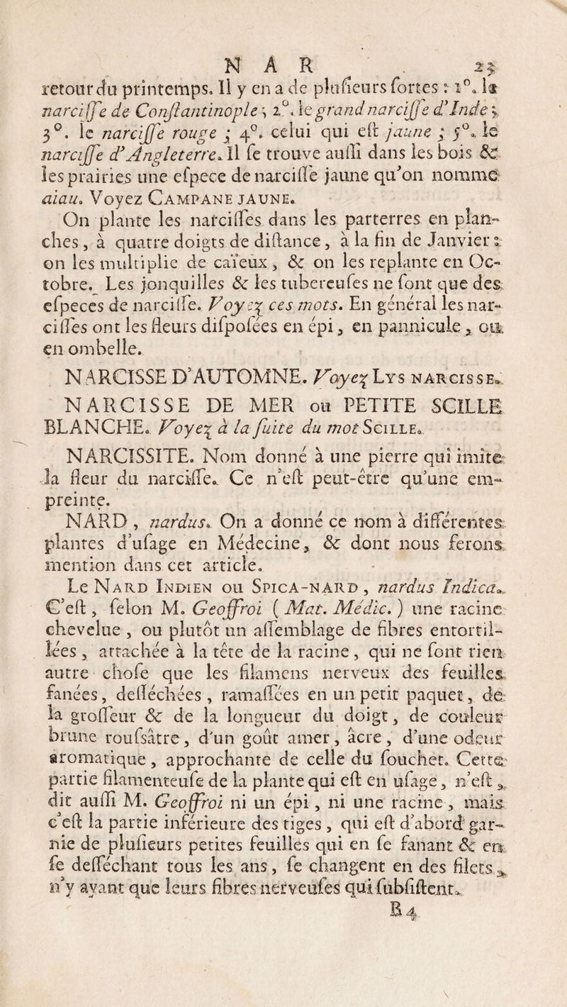 N A R . 2 $ retour du printemps» Il y en a de placeurs fortes : i°. lt narciffe de Conjlantinople \ 2°, \q grandnarcijje d'Inde >, 3°. îc narciffe rouge ; 40. celui qui elr jaune ; f, le narciffe d3Angleterre. Il fe trouve auiîî dans les bois Ôc les prairies une efpece de narciffe jaune qifon nomme aiau* Voyez Campane jaune. On plante les narciffes dans les parterres en plan- elles, à quatre doigts de diftance, à la fin de Janvier s- on les multiplie de caïeux , ôc on les replante en Oc¬ tobre. Les jonquilles ôc les tubereufes ne font que des efpeces de narcilfe. Voy ces mots. En général lesnar- cilles ont les Heurs difpofées en épi , en pannicule 3 oijk en ombelle. N ARCISSE D’AUTOMNE. Voye\Lys narcisse. NARCISSE DE MER ou PETITE SCILLE BLÀNCEIE. Voye\ à la fuite du mot Sciile, NàRCISSITE. Nom donné à une pierre qui imite la Heur du narciffe.. Ce n'eft peut-être qu’une em¬ preinte. NARD , nardus. On a donné ce nom à différentes plantes d’ufage en Médecine, ôc dont nous ferons mention dans cet article. Le Nard Indien ou Spica-nard , nardus Indien*. C’eft , félon M. Geoffroi ( Mat. Médic. ) une racine chevelue , ou plutôt un affemblage de fibres entortil¬ lées 3 attachée à la tête de la racine, qui ne font rien autre cliofe que les filamcns nerveux des feuilles fanées, delléchées , ramalfées en un petit paquet , de: la grodeur Sc de la longueur du doigt, de couleur brune roufsâtre, d'un goût amer, âcre, d’une odeur aromatique, approchante de celle du fouchet» Cette partie filamenteufe de la plante qui eft en ufage, n’eft: * dit auiîi M. Geoffroi ni un épi, ni une racine , mais c’eft la partie inférieure des tiges , qui eft d’abord gar¬ nie de plufieurs petites feuilles qui en fe fanant ôc en, fe delféchant tous les ans, fe changent en des filets ^ n y ayant que leurs fibres nerveufes qui fubfiftent>