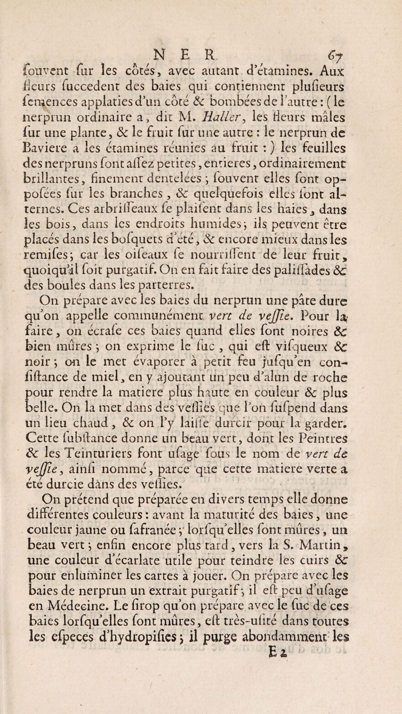 fouvent far les côtés, avec autant d’étamines. Aux fleurs fuccedent des baies qui contiennent plufteurs fcmences applatiesd’un côté Ôc bombées de l'autre : ( le nerprun ordinaire a, dit M. Haller, les fleurs mâles fur une plante, ôc le fruit fur une autre : le nerprun de Bavière a les étamines réunies au fruit : ) les feuilles des nerpruns font allez petites, entières, ordinairement brillantes, finement dentelées •, fouvent elles font op- pofées fur les branches , Sc quelquefois elles font al¬ ternes. Ces arbrilleaux fe plaifent dans les haies dans les bois, dans les endroits humides, ils peuvent être placés dans les bofquets d'été, Sc encore mieux dans les remifes; car les oileaux fe nourrirent de leur fruit, quoiqu’il foit purgatif. On en fait faire des palilfades ôc des boules dans les parterres. On prépare avec les baies du nerprun une pâte dure qu'on appelle communément vert de vejjie. Pour faire, on écrafe ces baies quand elles font noires ôc bien mures *, on exprime le lue , qui eft: vifqueux ôc noir *, on le mer évaporer à petit feu jufqu’en con- fiftance de miel, en y ajoutant un peu d’alun de roche pour rendre la matière plus haute en couleur Ôc plus belle. On la met dans des veilles que l’on fufpend dans un lieu chaud, Ôc on l’y lailiê durcir pour la garder. Cette fubftance donne un beau vert, dont les Peintres Sc les Teinturiers font ufage fous le nom de vert de vejjie, ainfi nommé, parce que cette matière verte a été durcie dans des veilles. On prétend que préparée en divers temps elle donne différentes couleurs : avant la maturité des baies, une couleur jaune ou fafranée *, iorfqu’elles font mûres, un beau vert *, enfin encore plus tard, vers la S. Martin , une couleur d’écarlate utile pour teindre les cuirs Ôc pour enluminer les cartes à jouer. On prépare avec les baies de nerprun un extrait purgatif-, il eft peu d’ufage en Médecine. Le firop qu’on prépare avec le fuc de ces baies lorfqu’elles font mûres, eft très-ufité dans toutes les efpeces d'hydropifîes > il purge abondamment les Ea> ;