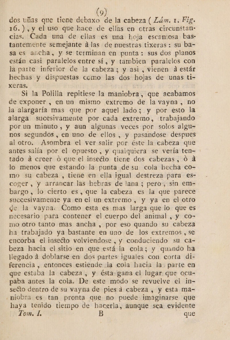 dos uñas que tiene debaxo de la cabeza ( Lam. 1. Fig. 16.), y el uso que hace de ellas en otras circunstan- cias. Cada una de ellas es una hoja escamosa bas- tantemente semejante álas de nuestras tixeras : su ba- saes ancha, y se terminan en punta : sus dos planos están casi paralelos entre sí, y tambien paralelos con la parte inferior de la cabeza; y asi , vienen d estár hechas y dispuestas como las dos hojas de unas ti- Xeras, Si la Polilla repitiese la maniobra, que avabámos de exponer , en un mismo extremo de la vayna , no la alargaría mas que por aquel lado; y por esto la alarga sucesivamente por cada extremo, trabajando por un minuto, y aun ee veces por solos algu- nos segundos , en uno de ellos , y pasandose despues al otro. Asombra el ver salir por éste la cabeza que antes salía por el opuesto, y qualquiera se vería ten- tado a creer 0 que el inseéto tiene dos cabezas, 0 d lo menos que estando la punta desu cola hecha co- mo su cabeza , tiene en ella igual destreza para e€s- coger, y arrancar las hebras de lana ; pero, sin em- bargo, lo cierto es, que la cabeza es la que parece succesivamenle ya en el un extremo, y ya en el otro qe la vayna. Como esta es mas larga que lo que es necesario para contener el cuerpo del animal , y co- mo otro tanto mas ancha , por eso quando su cabeza ha trabajado ya bastante en uno de los extremos , se encorba el insecto volviendose , y conduciendo su ca- beza hacía el sitio en que está la cola; y quando ha Hegado á doblarse en dos partes iguales con corta di- ferencia , entonces estiende .la cola hacia la. parte en que estaba la cabeza, y ésta gana el lugar que ocu- paba antes la cola. De este modo se revuelve el in- seéto dentro de su vayna de pies dá cabeza , y esta ma- «niobra es tan pronta que no puede imaginarse que haya tenido tiempo de hacerla, aunque sea evidente Tom. 1. B que