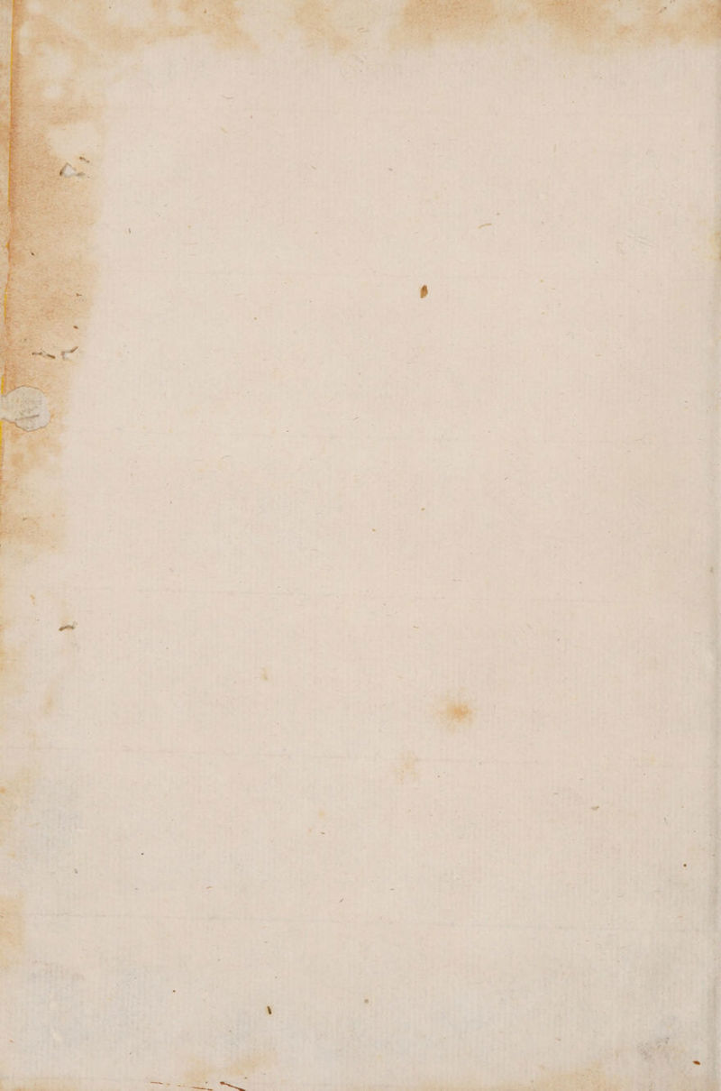 lo, e cd Ae IN > ANS