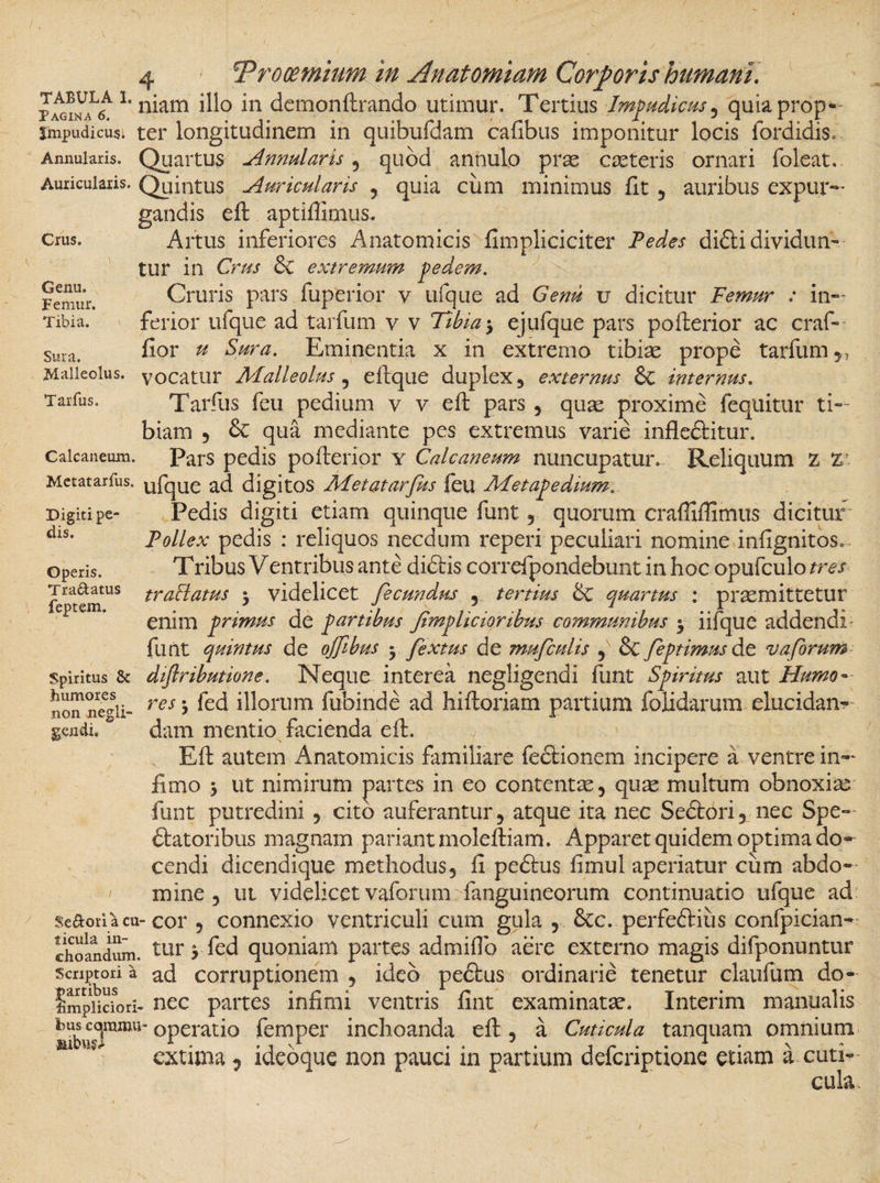 Jix^L6A L niam i^° *n demon ftrando utimur. Tertius Impudicus , quiaprop- jmpudicugi ter longitudinem in quibufdam cafibus imponitur locis fordidis. Annularis. Quartus Annularis , quod annulo prae caeteris ornari foleat. Auricularis. Quintus Auricularis , quia cum minimus fit , auribus expur¬ gandis eft aptifiimus. Artus inferiores Anatomicis fimpliciciter Pedes di£ti dividun¬ tur in Crus &amp; extremum pedem. Cruris pars fuperior v ufque ad Genu u dicitur Femur : in¬ ferior ufque ad tarfum v v Tibia$ ejufque pars pofterior ac craf- fior u Sura. Eminentia x in extremo tibiae prope tarfum ,, Crus. Genu. Femur. Tibia. Sura. Malleolus, vocatur Malleolus, eftque duplex, externus Sc internus. Tarfus. Calcaneum. Tarfus feu pedium v v eft pars , qux proxime fequitur ti¬ biam 5 &amp; qua mediante pes extremus varie infle&amp;itur. Pars pedis pofterior y Calcaneum nuncupatur. Reliquum z Z- Metatarfus. ufque ad digitos Metatarfus feu Metapedium„ Digiti pe- Pedis digiti etiam quinque funt , quorum crafiiffimus dicitur dls- Pollex pedis : reliquos necdum reperi peculiari nomine infignitos. operis. Tribus Ventribus ante didlis correfpondebunt in hoc opufculo tres Jc icmUS tra^ams 5 videlicet fecundus , tertius &amp;C quartus : praemittetur enim primus de partibus fmplicioribus communibus y iifque addendi funt quintus de ojflbus 5 fextus de mufculis , &amp; feptimus de v a forum spiritus &amp; diflributione. Neque interea negligendi funt Spiritus aut Humo¬ res $ fed illorum fubinde ad hiftoriam partium folidarum elucidan¬ dam mentio facienda eft. Eft autem Anatomicis familiare fedlionem incipere a ventre in¬ fimo &gt; ut nimirum partes in eo contentae, quae multum obnoxias funt putredini , cito auferantur, atque ita nec Sedlori, nec Spe- dlatoribus magnam pariant moleftiam. Apparet quidem optima do¬ cendi dicendique methodus, fi pedhis fimul aperiatur cum abdo¬ mine , ut videlicet vaforum fanguineorum continuatio ufque ad seaoriacu-cor , connexio ventriculi cum gula , &amp;c. perfeftius confpician- choandum. turj-fed quoniam partes admiflb aere externo magis difponuntur scriptori a ad corruptionem , ideo pedtus ordinarie tenetur claufum do- Impiiciori- nec partes infimi ventris fint examinatse. Interim manualis fcus cammu- operatio femper inchoanda eft , a Cuticula tanquam omnium extima , ideoque non pauci in partium defcnptione etiam a cuti¬ cula humores non negli- gendi.