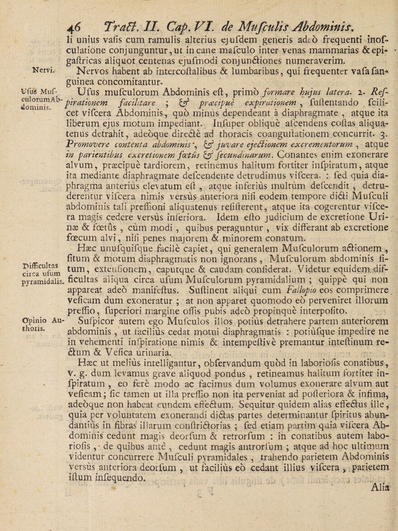 ISTervi.v l/Tus Muf- culorumAb- dominis. difficultas circa ufum pyramidalis. Opinio AU' ihoris. 46 Traffi. II. Cap. VI. de Mufcults Abdominis. Ii unius vafis cum ramulis alterius ejufdem generis adeo frequenti inof» culatione conjunguntur, ut in cane mafculo inter venas mammarias &amp;epi* gadricas aliquot centenas ejufmodi conjundiones numeraverim. Nervos habent ab intercodalibus &amp; lumbaribus, qui frequenter vafafan* guinea concomitantum Ufus mufculorum Abdominis eft, primo formare hujus latera. 2. Ref- pirationem facihtare ; &amp; praecipue expirationem , fu lient an do fcili- cet vifcera Abdominis, quo minus dependeant a diaphragmate , atque ita liberum ejus motum impediant. Infuper oblique afeendens collas aliqua¬ tenus detrahit, adeoque direde ad thoracis coangullationem concurrit. 3. Promovere contenta abdominis *, &amp; juvare ejectionem excrementorum , atque in parientibus e*.cretionem foetus &amp; fecundmarum. Conantes enim exonerare alvum, praecipue tardiorem, retinemus halitum fortiter infpiratum, atque ita mediante diaphragmate defeendente detrudimus vifcera. : fed quia dia¬ phragma anterius elevatum ell , atque inferius multum defeendit , detru¬ derentur vifcera nimis versus anteriora nili eodem tempore didi Mufculi abdominis tali prefiioni aliquatenus reliderent, atque ita cogerentur vifce¬ ra magis cedere versus inferiora. Idem edo judicium de excretione Uri¬ nas &amp; foetus , cum modi , quibus peraguntur , vix differant ab excretione fcecum alvi, nid penes majorem &amp; minorem conatum. Hxc unufquifque facile capiet, qui generalem Mufculorum adionem , fitum &amp; motum diaphragmatis non ignorans, Mufculorum abdominis li¬ tum , extentionem, caputque &amp; caudam conliderat. Videtur equidem dif- , ficultas aliqua circa uium Adufculorum pyramidalium ; quippe qui non appareat adeo manifedus. Sudinent aliqui cum Failopio eos comprimere velicam dum exoneratur ; at non apparet quomodo eo perveniret illorum preffio, fuperiori margine offis pubis adeo propinque interpofito. Sufpicor autem ego Mufculos illos potius detrahere partem anteriorem abdominisut facilius cedat motui diaphragmatis : potiufque impedire ne in vehementi infpiratione nimis &amp; intempellive premantur intedinum re- dum &amp; Vdica urinaria. Htec ut melius intelligantur, obfervandum quod in laboriolis conatibus, V. g. dum levamus grave aliquod pondus , retineamus halitum fortiter in¬ fpiratum , eo fere modo ac facimus dum volumus exonerare alvum aut veficam; fic tamen ut illa predio non ita perveniat ad potieriora &amp; infima, adeoque non habeat eundem efiedum. Sequitur quidem alias effedus ille, quia per voluntatem exonerandi didas partes determinantur fpiritus abun¬ dantius in fibras illarum condridorias ; fed etiam partim quia vifcera Ab¬ dominis cedunt magis deorfum &amp; retrorfum : in conatibus autem labo- riodsde quibus ante , cedunt magis antrorfum ; atque ad hoc ultimum videntur concurrere Mufculi pyramidales , trahendo parietem Abdominis versus anteriora deorfum , ut facilius eo cedant illius vifcera , parietem idum infequendo.