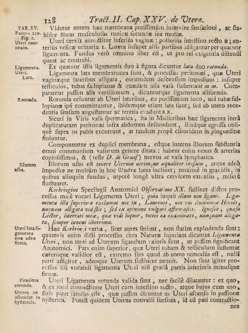 TAB.XV. Fagima 239. Fig. I. Uteri con¬ nexio* Ligamenta. Uteri. Lata. Roranda. Illorum tifus. Uteri lata li¬ gamenta noa adeo firma. Firmiora rotunda. Uterus an afcendat in foyitericis. 118 TraB. II. Cap. XXV. de Vtero. Videtur autem haec membrana potifTimum intervire fenfationi , ac fla* bilire fibras muftulofas tunicae fecundas ieu mediae. Uteri cervix anneditur inferius vaginae: polterms inteftino redo H; an¬ terius veficae urinaria i. Latera infuper alin partibus alligantur per quatuor ligamenta. Fundus vero omnino liber elf, ut pro rei exigentia diftend! queat ac contrahi. Ex quatuor illis ligamentis duo a figura dicuntur lata duo rotunda. Ligamenta lata membranacea funt, &amp; procellus peritonaei , quae Uteri vaginaeque lateribus alligata, eorumdem defcenfum impediunt : infuper telliculos, tubas failopiauas &amp; quaedam alia vafa fultentanr m m. Com® parantur paffiin alis vertilionum , dicunturque ligamenta aliformia. Rotunda oriuntur ab Uteri lateribus, eo potiffimum loco, uni tubaefal* lopianae ipfi committuntur, ibidemque etiam lata funt; fed ab utero rece® dentia fenfum anguftatitur ac teretia evaduntr k. Sicuti in Viris vafa fpermatica , ita in Mulieribus haec ligamenta intra duplicaturam peritonei infra abdomen defeendunt, iliudque egrelTa obli¬ que fnpra os pubis excurrunt, at tandem prope clitoridem in pinguedine finiuntur. Componuntur ex duplici membrana , eftque interna illorum fubflantia omni communium vaforum genere ditata : habent enim venas &amp; arterias copiofiflimas, &amp; (tefte D. de Graaf) nervos ac vafa lymphatica. Illorum ulus ell tenere Uterum utrimque a qualiter tenfum , atque adeo impedire ne multum in hoc illudve latus inclinet; maxime in gravidis, iri quibus alioquin fundus, utpote longe ultra cervicem extailus , milere fluduaret. Kerkringius Specilegii Anatomici Obfervatone XX. fufiinet didos pro- ceifus maie vocari Ligamenta Uteri ; quia inquit illum non ligant. Liga¬ menta illa fuperiora exclamat nec tu , Laurenti , nec vos Anatomice Heroes 9 unquam alligata vidjlis ; fed ex opinione vulgari affirmajUs. Ignojce , qucefo Ledlor, libertati me ce, quee vidi loquor, toties ea examinavi, nunquam alliga¬ ta, femper inveni Uberrima. Haec Kerkrin i verba , licet aures feriant, non flarim explodenda funt: quamvis enim didi procefifus citra Natura? injuriam dicantut Ligamenta Uteri , non tanti ad Uterum ligandum valoris funt, ut pafllm lignificant Anatomici. Pars enim fuperior, quae Uteri tubam &amp; tefliculum fultentat caeteroque validior elt, extremo fuo quod ab utero remotius eft , nulli parti affigitur , adeoque Uterum fuftinere nequit. Non funt igitur pro» cefTus illi vocandi ligamenta Uteri nili gratia partis inferioris minufque firmae. Uteri Ligamenta rotunda valida funt, nec facile dilatantur : ex quo$ &amp; ex Ioni connedione Uteri cum intellino redo, atque hujus cum ano„ fatis prget rabulas efie , quae paffim dicuntur ae Uteri afcenfu in paffione hyfterica. Potelt quidem Uterus convelli furfum , id elt pati contradio» nes