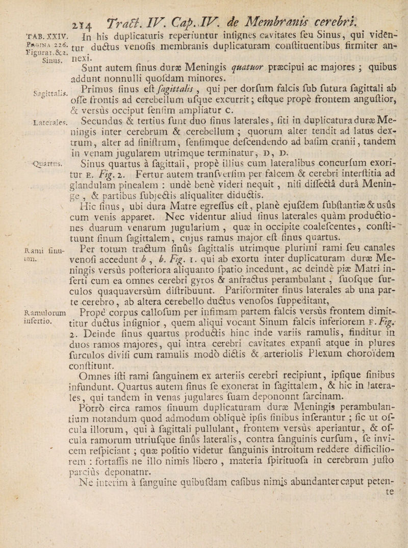 tab. XXIV. In his duplicaturis reperiuntur infignes cavitates feu Sinus, qui viden» Fft«rNA 226. t dudtus venofis membranis duplicaturam conftituentibus firmiter an- Figurai.&amp;z. Sinus, nexi* Sunt autem finus durse Meningis quatuor prsecipui ac majores ; quibus addunt nonnulli quofdam miriores. Primus linus eft fagittalis , qui per dorfum falcis fub futura fagittali ab ofTe frontis ad cerebellum ufque excurrit; eftque prope frontem anguftior, &amp; versus occiput fenfim ampliatur c. Laterales. Secundus &amp; tertius funt duo finus laterales, fiti in duplicatura duras Me¬ ningis inter cerebrum &amp; cerebellum ; quorum alter tendit ad latus dex¬ trum , alter ad finiftrum, fenfimque defcendendo ad bafim cranii, tandem in venam jugularem utrimque terminatur, D, D. -•Quartas. Sinus quartus a fagittali, prope illius cum lateralibus concurfum exori¬ tur e. Fig. 2. Fertur autem tranfverfim per falcem &amp; cerebri interftitia ad glandulam pinealem : unde bene videri nequit , nili dilleda dura Menin¬ ge , &amp;. partibus fubjedis aliqualiter didudis. V Hic finus, ubi dura Matre egreffus eft, plane ejufdem fubft antias &amp; usus cum venis apparet. Nec videntur aliud linus laterales quam produdio- nes duarum venarum jugularium , quae in occipite coalefcentes, confti- tuunt linum fagittalem, cujus ramus major eft finus quartus. Rami fimi- Per totum tradum finus fagittalis utrimque plurimi rami feu canales um. venofi accedunt b , b. Fig. i. qui ab exortu inter duplicaturam durae Me¬ ningis versus pofteriora aliquanto fpatio incedunt, ac deinde pias Matri in¬ ferti cum ea omnes cerebri gyros 5r anfradus perambulant , fuofque fur- culos quaquaversum diftribuunt. Pariformiter finus laterales ab una par¬ te cerebro, ab altera cerebello dudus venofos fuppeditant, Ramulorum Prope corpus callofum per infimam partem falcis versus frontem dimit- infertio. tjtur dudus infignior , quem aliqui vocant Sinum falcis inferiorem F. Fig. 2. Deinde finus quartus produdis hinc inde variis ramulis, finditur in duos ramos majores, qui intra cerebri cavitates expanfi atque in plures furculo s di vili cum ramulis modo didis &amp; arteriolis Plexum choroidem conftitunt. Omnes ifti rami fanguinem ex arteriis cerebri recipiunt, ipfique finibus inflindunt. Quartus autem finus fe exonerat in fagittalem , &amp; hic in latera¬ les, qui tandem in venas jugulares fuam depononnt farcinam. Porro circa ramos finuum duplicaturam duras Meningis perambulan¬ tium notandum quod admodum oblique ipfis finibus inferantur ; fic ut of- cula illorum, qui a fagittali pullulant, frontem versus aperiantur, &amp; of- cula ramorum utriufque finus lateralis, contra fanguinis curfum, fe invi¬ cem refpiciant ; quas pofitio videtur fanguinis introitum reddere difficilio¬ rem : fortaffis ne illo nimis libero , materia fpirituofa in cerebrum jufto parcius deponatur. Ne interitu a fanguine quibufdam cafibus nimis abundanter caput peten¬ te h