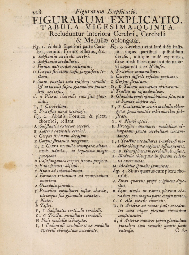 iig Figurarum Explicatio. FIGURARUM EXPLICATIO. TABULA V IGESIM A-QUINT A. Recluduntur interiora Cerebri, Cerebelli &amp; Medullae oblongatae. Fig. i. Ablati fuperiori parte Gere- Fig. 3. Cerebri ovini late didi bafis, 1 * ®. T-' * n o • • •« «, | -i bri, cernitur Fornix reflexus, &amp;c. A Subftantia corticalis cerebri. B Subftantia medullaris. C Fornix antrorsum reclinatus. D Corpus ftriatum vafts [anguiferis te- dum. E quartus cum ejufdem ramulis &amp; arteriolis [apra glandulam pinea¬ lem extenfis. d Plexus choroidis cum fuis gjan- a dulis. F Cerebellum. G Procejfus dura meningis. Fig. 2. Ablatis Fornice d plexu choroidi, reflant A Subftantia exterior cerebri. B Latera cavitatis cerebri. C Corpus ftriatum derafum. D Corpus ftriatum integrum. E, e Crura medulla oblongata aliquo in cujus partibus quibufdam derafis , aliifque nude expofitis , ftriae medullares quafi totidem ner¬ vi apparent : ex IVillifio. \ Proceftus mammillaris. B Cerebrs diftedi reftdua portiones. C Corpus ftriatum. D, D Falami nervorum opticorum. d Tradus ad infundibulum. E Glandula pone infundibulum fit a, qtm in homine duplex eft. F, F Continuatio cruris medulla oblon¬ gata prominentiis orbicularibus fub- ftrati. G , G Nervi optici. H Proceftus annulares medullam ob¬ longatam juxta cerebellum circum¬ dantes. I j l Fradus medullares tranfverfi me¬ dulla oblongata regiones diftinguentes. modo diduda , ut fequentia magis K , K Hemifpharium cerebelli derafum L Medulia oblongata infpinam ceden¬ tis extremitas. M Medulla fpmalis fummttas. Fig. 4. Sinus quartus cum plexu cho- roidL A Sinus quartus prope originem diffe- dus. patefcant. a Vafaf anguine a corpori ftriato propria, b Bajis fornicis abfafti. c Rima ad infundibulum, d Foramen rotundum ad ventriculum quartum. e Glandula pinealis. f Proceftus medullares inftar chorda, B Ejus divifio in ramos plexum cho- roidem pro magna parte conjlituentes C, C Ala plexus choroidis. D, D Arteria ad ramos fimus acceden¬ tes cum iifique plexum choroidem conjlituentes. d, d Arteria minores fiupra glandulam pinealem cum ramulis quarti ftnus extenfia. G A- utrimque fub glandula coeuntes. g Nates, h Feftes. F, F Subftantia corticalis cerebelli. G, G Fradus medullares cerebelli. H Finis medulla oblongata. I, I Pedunculi medullares ex medulla cerebelli oblongatam accedenteP.