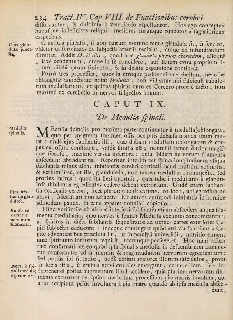 diftblvuntur , &amp; diflfoluta e ventriculo expelluntur. Hos ego conceptus hucufque indefinitos reliqui . meliores magifque fundatos a Tagacioribus exfpedhms. ufus gian- Glandula pinealis, fi non tantum nomine tenus glandula fit, infervire, dulas piaea- videtur ut ferofitates ex fubjedtis arteriis recipiat , atque ad infundibulum ^ dimittat. Addit D. Mallis ,, quod hasc glandula plexum chordidem, alioqui „ laxe pendentem , atque in fe concidere , aut faltem extra proprium fi** „ tum dilabi aptum fufientet, &amp; in debita expanfione contineat. ^ Porro tres procefius , quos in utroque pedunculo cerebellum medullas oblongatas annedlente notat Willifius, non videntur nili fafciculi tubulo- rum medullarium, ex quibus fpiritus cum ex Cerebro proprie didto , tum maxime ex cerebello in nervos fubjedfcos irruunt. CAPUT IX. EDe Medulla fpinali. Medulia Ii Edulia fpinalis pro maxima parte continuatur a medulla'oblongata T Ut IVI quse per magnum foramen oflis occipitis delapfa nomen fuum mu¬ tat : unde ejus fubfiantia illi , quse di&amp;am medullam oblongatam &amp; cor¬ pus callofum confiituit , valde fimilis eft ; nonnihil tamen durior magif¬ que fibrofa , maxime versus inferiora ; quia ibidem nervorum filamenta abfcedunt abundantius. Reperitur interim per fpina2 longitudinem aliqua fubfiantia minus alba, fubfiantia? cerebri corticali haud multum abfimilis, &amp; verifimiliter, ut illa, glandulofa; non tamen medullaricircumje&amp;a, fed prorfus intima : quod ita fieri oportuit, quia tubuli medullares a glandu¬ lofa fubfiantia egredientes cedere debent extrorfum. Unde etiam fubfian¬ tia corticalis cerebri, licet plerumque fit extima, eo loco, ubi egrediuntur nervi , Medullari non adjacet. Eft autem ejufmodi fubfiantia in homine admodum pauca, in cane apparet nonnihil copiofior. Hinc verifimile eft ab hac interiori fubfiantia etiam abfcedere aliqua fila¬ menta medullaria, quas nervos e fpinali Medulla exeuntesconcomitantur, ac fpiritus in didla fubfiantia fequeftratos ad omnes partes exteriores Ca¬ piti fubjedtas deducunt : indeque contingere quod etfi via fpiritibus a Ca¬ pite adventantibus prasclufa fit, ut in paralyli univerfali , nutritio tamen, quae fpirituum influxum requirit, utcumque perfeveret. Hoc mihi vifum fuit confirmari ex eo quod ipfa fpinalis medulla in defcenfu non attenue¬ tur conformiter ad numerum &amp; magnitudinem nervorum egrediendum; fed potius ibi fit latior , unde emittit majores illorum fafciculos , prout ___ _ in locis iftis , e quibus nervi crurales emergunt, cernere licet. Vertim naiimeduii? deprehendi poftea augmentum illud accidere, quia plurima nervorum fila- cgredicntes. menta excurrunt per ipfam medullam procefiibus piae matris involuta, ubi alias accipiunt prius involucra a pia matre quando ab ipfa medulla abfce - dunt. 'Ejus iub- ftantia glan «dulofa. An ab ea «oriantur nervorum ^lamenta. Nervi e fpi-