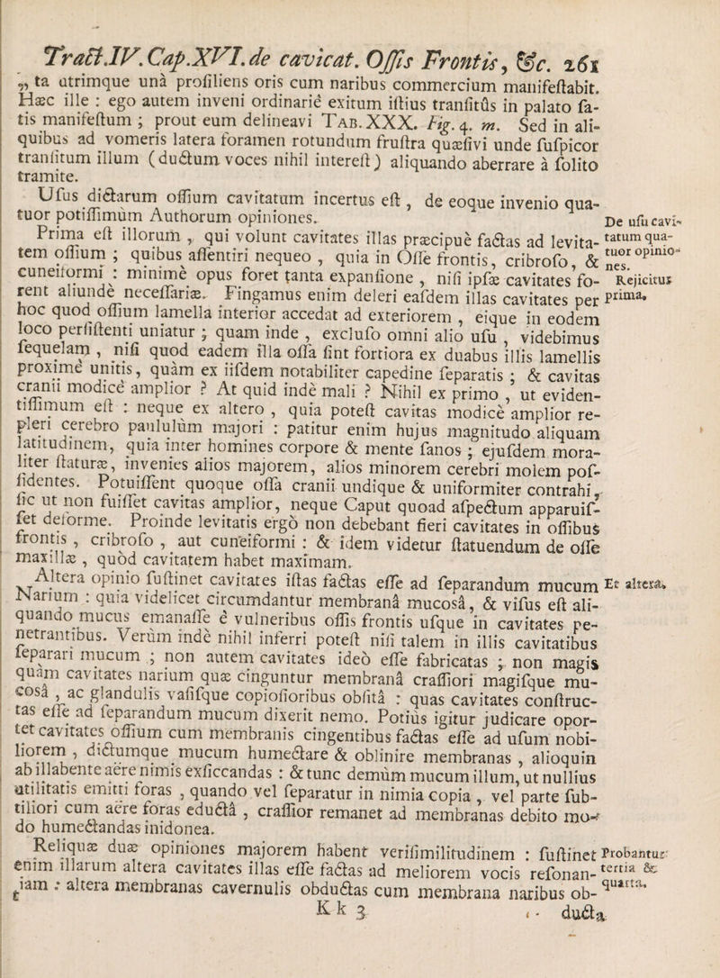 TraEiJV.Cap.XVI.de cavicat. OJJis Frontis, &amp;c. %6i r&gt;ta utrimque una profiliens oris cum naribus commercium manifeflabit. H$c ille : ego autem inveni ordinarie exitum illius tranfitfis in palato fa¬ tis manifeftum ; prout eum delineavi Tab.XXX. Fig. 4. w. Sed in ali¬ quibus ad vomeris latera foramen rotundum fruftra qusefivi unde fufpicor traniitum illum (du&amp;um voces nihil interell ^ aliquando aberrare a folito tramite. Ufus di diarum offium cavitatum incertus efi, de eoque invenio qua- tuor potiffimum Authorum opiniones. De ufucavi~ Prima ell illorum ,, qui volunt cavitates illas praecipue fa&amp;as ad levita-tatumqua' tem odium ; quibus^affentiri nequeo , quia in OlTe frontis, cribrofo, &amp; ^ cuneilormi . minime opus foret tanta expanlione , nili ipfae cavitates fo- Rejidtuj rent aliunde neceffaria;. Fingamus enim deleri eafdem illas cavitates per Prima* hoc quod offium lamella interior accedat ad exteriorem , eique in eodem loco perii flenti uniatur ; quam inde , exclufo omni alio ufu , videbimus lequelam , mfi quod eadem illa offa lint fortiora ex duabus illis lamellis proxime unitis, quam ex iifdem notabiliter capedine feparatis • &amp; cavitas cranu modice amplior ? At quid inde mali ? Nihil ex primo ut eviden- tillimum eu ; neque ex altero , quia poted cavitas modice amplior re¬ pleri cerebro paululum majori : patitur enim hujus magnitudo aliquam latitudinem, quia inter homines corpore &amp; mente fanos ; ejufdem mora- liter Itatur», invenies alios majorem, alios minorem cerebri molem pof- jidentes. Potuiffent quoque offa cranii undique &amp; uniformiter contrahi, hc ut non fuifiet cavitas amplior, neque Caput quoad afpe&amp;um apparuif- iet deforme. Proinde levitatis ergo non debebant fieri cavitates in offibus trontis , cribrofo r&lt; aut cuneiformi : &amp; idem videtur flatuendum de offe maxidx , quod cavitatem habet maximam, Silera opinio fu {linet cavitates illas la&amp;as efle ad feparandum mucum Et altet#* IN anum : quia videlicet circumdantur membrana mucosa, &amp; vifus eft ali- quanao mucus emanaffe e vulneribus offis frontis ufque in cavitates pe¬ netrantibus. Verum inde nihil inferri poteft nili talem in illis cavitatibus eP?rai 1 mucum ; non autem cavitates ideo effe fabricatas ; non magis quum cavitates narium quas cinguntur membrana craffori magifque mu- cosa ac glandulis \afifque copiofioribus oblita : quas cavitates conflruc- tas eiie ad feparandum mucum dixerit nemo. Potius igitur judicare opor¬ tet cavitates offium cum membranis cingentibus fa&amp;as effe ad ufum nobi- ^11°^n? ’ dictumque mucum hume&amp;are &amp; oblinire membranas, alioquin ab lllabente aere nimis exficcandas : &amp;tunc demum mucum illum, ut nullius utilitatis emitti loras , quando vel feparatur in nimia copia , vel parte Tub- tihori cum aere foras edu&amp;a , craffior remanet ad membranas debito do humectandas midonea. Reliquae duae opiniones majorem habent verilimilitudinem : fuflinet ProBaiitiu: enim illarum altera cavitates illas effe fa&amp;as ad meliorem vocis refonan-tertia &amp; fciam .* altera membranas cavernulis obdu&amp;as cum membrana naribus ob- *utrt* &amp; k 3 &lt; - du&amp;a