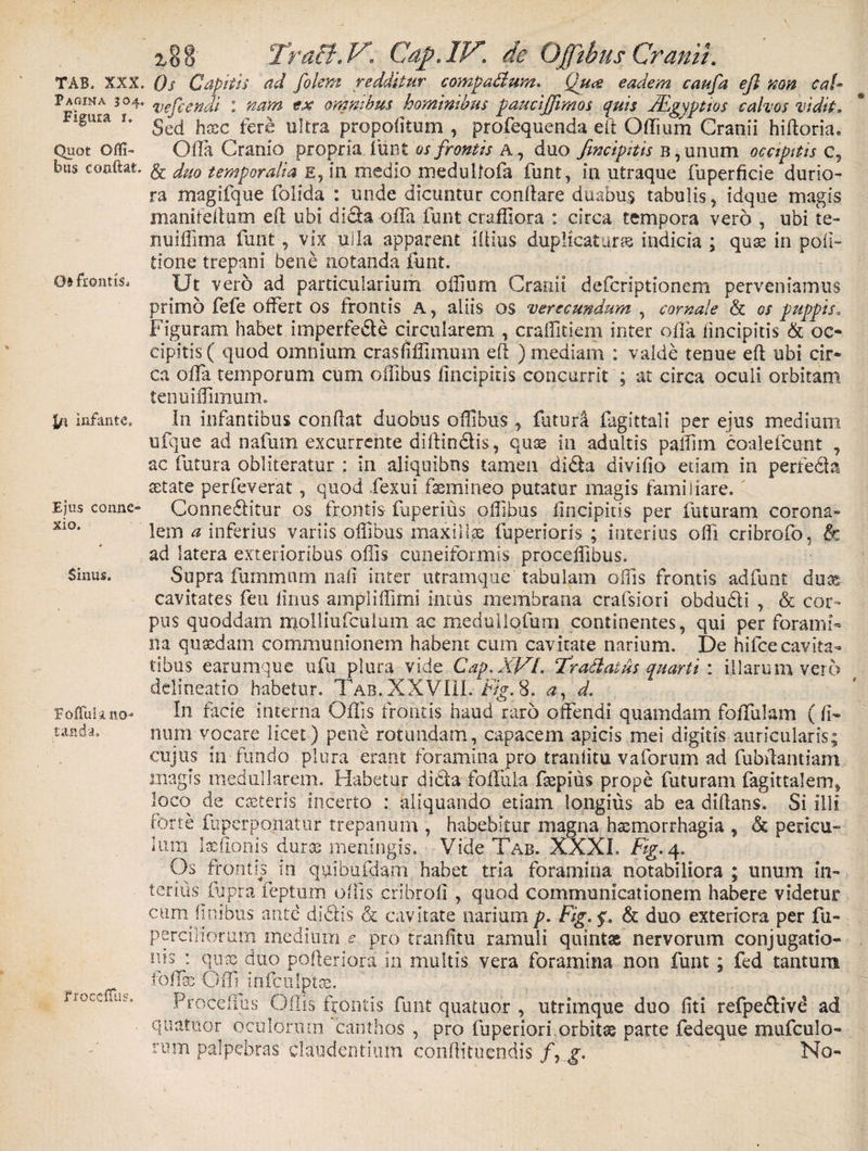 Pagina 304. Figura 1. Quot Offi- bus conflat. Oi frontis* infante. Ejus conne¬ xio. Sinus, F offula no¬ tanda. ffoedTus. %'iSo TruB.V** Cdp. IV. de Ojjtbus Cranii. ve fi endi : nam ex omnibus hominibus paucijjimos quis JEgyptios calvos vidit, Sed hrec fere ultra propofitum , profequenda eft Odium Cranii hiftoria. Ofla Cranio propria funt os frontis A, duo /incipitis B,unum occipitis c, &amp; duo temporalia e, in medio roeduUofa funt, in utraque fuperficie durio- ra magifque folida : unde dicuntur conflare duabus tabulis, idque magis manifeflum eft ubi di&amp;a offa funt craffiora : circa tempora vero , ubi te- nuiffima funt, vix ulia apparent iftius duplicaturas indicia ; quas in poli¬ tione trepani bene notanda funt. Ut vero ad particularium oflium Cranii deferiptionem perveniamus primo fefe offert os frontis a, aliis os verecundum , comate &amp; os puppis. Figuram habet imperfe&amp;e circularem , craffitiem inter offa (incipitis &amp; oc¬ cipitis ( quod omnium crasfifllmum eft ) mediam : valde tenue eft ubi cir¬ ca offa temporum cum oflibus (incipitis concurrit ; at circa oculi orbitam tenuiffimum. In infantibus conftat duobus oflibus , futuri fligittali per ejus medium ufque ad nafutn excurrente diftin&amp;is, quas in adultis paffim coalefcunt , ac futura obliteratur : in aliquibus tamen di&amp;a divifio etiam in perfeda astate perfeverat, quod fexui fsemineo putatur magis familiare, Conne&amp;itur os frontis fuperius oflibus Iincipitis per luturam corona- lem a inferius variis oflibus maxillas fuperioris ; interius ofli cribrofo, &amp; ad latera exterioribus offis cuneiformis proceffibus. Supra fummnm nafi inter utramque tabulam offis frontis adfunt duas cavitates feu linus ampliffimi innis membrana crafsiori obdu&amp;i , &amp; cor¬ pus quoddaixi molliufculum ac meduliofum continentes, qui per forami¬ na quasdam communionem habent cum cavitate narium. De hifcecavita¬ tibus earumque ufu plura vide Cap. XVL /radiatus quarti : illarum vero delineatio habetur. Tab. XXVIII. Fig. 8. a, d. In facie interna Odis frontis haud raro offendi quamdam foffulam ( fi- nurn vocare licet) pene rotundam, capacem apicis mei digitis auricularis; cujus in fundo plura erant foramina pro tranfitu vaforum ad fubftantiam magis medullarem. Habetur dida foflula fsepius prope futuram fagittalem* loco de asteris incerto : aliquando etiam longius ab ea diftans. Si illi forte fuperponatur trepanum , habebitur magna haemorrhagia , &amp; pericu¬ lum Isefionis durae meningis. Vide Tab. XXXI. Fig. 4. Os frontis in quibufdam habet tria foramina notabiliora ; unum in¬ terius lupra feptum offis cribrofi , quod communicationem habere videtur cum finibus ante didis &amp; cavitate narium p. Fig.$. &amp; duo exteriora per fu- perciiiorurn medium .e. pro tranfitu ramuli quintse nervorum conjugatio¬ nis : quae duo pofteriora in multis vera foramina non funt ; fed tantum foffse Off infculptce. Procellas Ollis frontis funt quatuor , utrimque duo fiti refpedive ad quatitor oculorum canthos , pro fuperiori orbitae parte fedeque mufculo- rum palpebras claudentium conftituendis f^g. No-