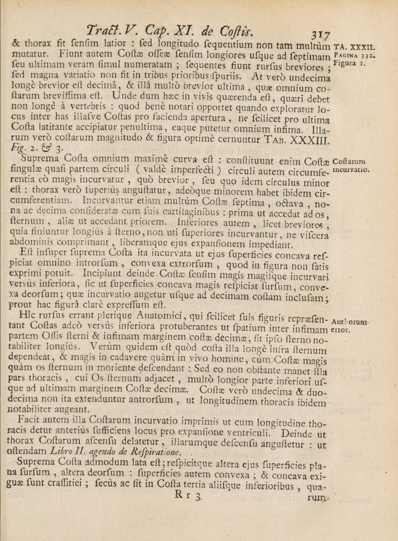 &amp; thorax fit fenfim latior : fed longitudo fequentium non tam multum ta. xxxii. mutatur. Fiunt autem Coftae ofieae fenfim longiores ufque ad feptimam Pagina 33^ feu ultimam veram fimul numeratam ; fequentes fiunt rurfus breviores • Figul*a T* fed magna variatio non fit in tribus prioribusFpuriis. At vero undecima longe brevior efi decima, &amp; illa multo brevior ultima , quas omnium co¬ llarum breviflima efi. Unde dum haec in vivis quaerenda efi, quseri debet non longe a vertebris : quod bene notari opportet quando exploratur lo¬ cus inter has illafve Cofias pro facienda apertura , ne fcilicet pro ultima Cofia latitante accipiatur penultima, eaque putetur omnium infima. * Illa¬ rum vero collarum magnitudo &amp; figura optime cernuntur Tab. XXXlil Fig. 2. &amp; 3. Suprema Cofia omnium maxime curva- efi 1 confiftuunt enim Codae Collarum finguls quafi partem circuli ( valde imperfe&amp;i ) circuli autem circumfe- lncuivatl°* rentia eo magis incurvatur , quo brevior , feu quo idem circulus minor efi thorax vero fuperius anguftatur, adeoque minorem habet ibidem cir¬ cumferentiam. Incurvantur etiam multum Coftse feptima , odlava no¬ na ac decima confiderat» cum fuis cartilaginibus : prima ut accedat ad os fiernum , alias ut accedant priorem. Inferiores autem , licet breviores ’ quia finiuntur longius a (terno,non uti fuperiores incurvantur, ne vifcera abdominis comprimant, liberamque ejus expanfionem impediant. Efi in fu per fuprema Cofia ita incurvata ut ejus fuperficies concava ref- piciat omnino introrfum , convexa extrorfum , quod in fi°ura non fatis exprimi potuit. Incipiunt deinde. Cofia: fenfim magis magifque incurvari versus inferiora, fic ut fuperficies concava magis refpiciat furfum conve¬ xa deorfum ;■ quas incurvatio augetur ufque ad decimam coftam inclufam • prout hac figura clare exprefium efi. 9 Hic rurfus errant plerique Anatomici, qui fcilicet fuis figuris reprtefen- AutI.ofnm tant Codas adeo versus inferiora protuberantes ut fpatium inter infimam error, partem Olfis fierni &amp; infimam marginem cofiae decimae, fit ipfo fierno no¬ tabiliter longius. Verum quidem efi quod cofia illa longe infra fiernum dependeat, &amp; magis in cadavere quam, in vivo homine, cum Cofiae magis quam os fiernum in moriente defcendant : Sed eo non obftante manet illa pars thoracis , cui Os fiernum adjacet , multo longior parte inferiori uf¬ que ad ultimam marginem Cofiae decimae. Cofia; vero undecima &amp; duo¬ decima non ita extenduntur antrorfum , ut longitudinem thoracis ibidem notabiliter augeant. Facit autem illa Coftarum incurvatio imprimis ut cum longitudine tho¬ racis detur anterius fufficiens locus pro expanfione ventriculi Deinde ut thorax Cofiarum afcenfu delatetur, illarumque defcenfu amrufietur • nr ofiendam Libro II. agendo de Refpiratione. , S Suprema Cofia admodum lata efi ;refpicitque altera ejus fuperficies pia» na furfum , altera deorfum : fuperficies autem convexa ; &amp; concava exi¬ guae funt crafiitiei ; fecus ac lit ili Cofia tertia aliifque inferioribus , qua» ^ r 3 rurri