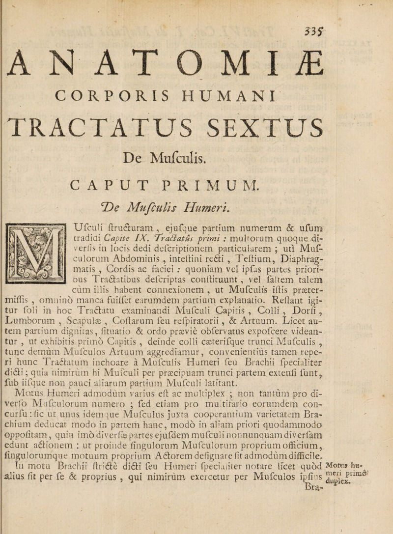 $35 ARATOMIi CORPORIS HUMANI TRACTATUS SEXTUS De Mufculis. CAPUT P RIMU M. ‘De Mufculis Humeri. Ufculi llruduram , ejufque partiam numerum &amp; ufum cradiai Capite IX. Trattatus primi ; multorum quoque, di- veriis in locis dedi defcriptionem particularem ; uti Mus¬ culorum Abdominis , intellini redii , Teftium, Diaphrag¬ matis , Cordis ac faciei : quoniam vel ipfas partes priori¬ bus Tradatibus defcriptas conllituunt, vel faltem talem cum illis habent connexionem , ut Mufculis illis proster- rniffis , omnino manca fuilfet earumdem partium explanatio. Reliant igi¬ tur foli in hoc Tradlatu examinandi Mufculi Capitis , Colli , Dorii , Lumborum , Scapulas , Collarum feu refpiratorii , &amp; Artuum. Licet au¬ tem partium dignitas, limatio &amp; ordo praevie obfervatus expofcere videan¬ tur ? ut exhibitis primo Capitis , deinde colli caeterifque trunci Mufculis , tunc demum Mufculos Artuum aggrediamur, convenientius tamen repe- ri hunc Tradatum inchoare a Mufculis Humeri feu Brachii fpecfaliter didi; quia nimirum hi Mufculi per praecipuam trunci partem extenli funt, fub iifque non pauci aliarum partiuin Mufculi latitant. Matus Humeri admodum varius ell ac multiplex ; non tantum pro dl- verfo Mufculorum numero ; fed etiam pro multifario eorumdem con- curfutlic ut unns. idem que Mufculus juxta cooperandum varietatem Bra¬ chium deducat modo in partem hanc, modo in aliam priori quodammodo oppofitam, quin imo diverfas partes ejufdem mufculi non n uncti a m divertam edunt adlionem : ut proinde Ungulorum Mufculorum proprium officium, fingulorumque motuum proprium Adorem defignare lit admodum difficile. In motu Brachii ftride didi feu Humeri fpeciaiiter notare licet quod alius (it per fe &amp; proprius , qui nimirum exercetur per Mufculos ipfius Bra- Motus hw- meri prim&amp;» duplex. )