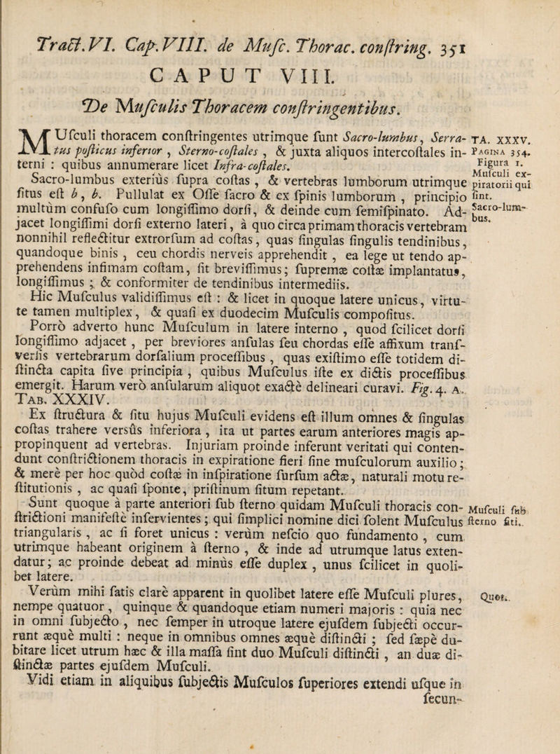 CAPUT VIII. *De IsAufculis Thoracem conftringentibus. MUfculi thoracem conftringentes utrimque funt Sacro-lumbus, Serra- ta. xxxv. tus pofticus inferior , Sterno-cofi ales , &amp; juxta aliquos intercoftales in- Pagina 354. terni : quibus annumerare licet Infra-coftales. Mufculi e Sacro-lumbus exterius fupra coftas, &amp; vertebras lumborum utrimque pimoriiqS fitus eft b, b. Pullulat ex Olle facro &amp; ex fpinis lumborum , principio fint- multum confufo cum longiffimo dorfi, &amp; deinde cum femilpinato. Ad- ^acro-lum- jacet Iongiffimi dorfi externo lateri, a quo circa primam thoracis vertebram US nonnihil refleditur extrorfum ad coftas, quas lingulas lingulis tendinibus, quandoque binis , ceu chordis nerveis apprehendit , ea lege ut tendo ap¬ prehendens infimam coftam, fit brevifiimus; fupremas collae implantatus, longjffimus ; &amp; conformiter de tendinibus intermediis. Hic Mufculus validiffimus eft : &amp; licet in quoque latere unicus, virtu¬ te tamen multiplex, &amp; quali ex duodecim Mufculis compolitus. Porro adverto hunc Mulculum in latere interno , quod fcilicet dorfi longiffimo adjacet , per breviores anfulas feu chordas elfe affixum tranf- veriis vertebrarum dorfalium procefifibus , quas exiftimo efiTe totidem di- ftinda capita live principia , quibus Mufculus ille ex didis proceffibus emergit. Harum vero anfularum aliquot exade delineari curavi. Fi?, a. a, Tab. XXXIV. <5^ Ex ftrudura &amp; fitu hujus Mufculi evidens eft illum omnes &amp; lingulas coftas trahere versus inferiora , ita ut partes earum anteriores magis ap¬ propinquent ad vertebras. Injuriam proinde inferunt veritati qui conten¬ dunt conftridionem thoracis in expiratione fieri fine mufculorum auxilio; &amp; mere per hoc quod coftas in infpiratione furfum adae, naturali moture- ftitutionis , ac quali fponte, priftinum litum repetant. Sunt quoque a parte anteriori fub fterno quidam Mufculi thoracis con- Mufculi m ftridioni manifefte infervientes; qui fimplici nomine dici folent Mufculus ftemo £ki, triangularis , ac fi foret unicus : verum nefeio quo fundamento , cum utrimque habeant originem a fterno , &amp; inde ad utrumque latus exten¬ datur; ac proinde debeat ad minus elfe duplex , unus fcilicet in quoli¬ bet latere. Verum mihi fatis clare apparent in quolibet latere elfe Mufculi plures, Quot., nempe quatuor , quinque &amp; quandoque etiam numeri majoris : quia nec in omni fubjedo , nec femper in utroque latere ejufdem fubjedi occur¬ runt seque multi : neque in omnibus omnes aeque diftindi ; fed faepe du¬ bitare licet utrum haec &amp; illa maffa fint duo Mufculi diftindi , an duae di- ftindae partes ejufdem Mufculi. I Vidi etiam in aliquibus fubjedis Mufculos fuperiores extendi ufque in fecun-