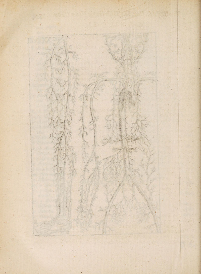 \< ./•> &amp; J / >■ •*' 4 ■ v/K . ■ ' i - T ' .. , ••• ' ..'l * - •.-/.Vi, i '4 7- «• \ \ / t M ; • - • * 4 £ , A -- - ■f . / / / ' * . -.r.:, ■ . >■ ■- , •. v >• f,., v /• it ' ' V .£■ ’ / - £ f% id \ • . ' 7«, v' '• ’ ‘ St Mi •■2a s aSs?1 ; • »/ : U ' - '■ ' ‘ •V*. i • , Vis ' i . 5 ■' . 'r ' .4. '7-' Jf/v r .4'-,: ri aa ; \;V' Ali .■ 1 '4^% ! .V f-, V • * --^7. M. I : ( • M: ;■> ■ fe- t' r i - • •• iV • •* ■ H ' 7 «■ -J t . :(X. Je K. : i ; „ 4 V, ' / • / ' '< •.* v r V. V i * ■ V ‘ &amp; v. .f ' v> i : * . ' ■ < 't:-- >./•.. 4 ys. J- . '■ ■f -..lAv > . . % 1 f-r;-. Ji <- A'h' - ^ •• r-:\ : - |; -4’ | ■ ■ ij ■■ - t .' . ■ -=?/ •V «i;7;:.*V •/ ,7 'i rr •/.; ' 'v- “ > i.. t> <v>. , - , * A' . ^ - A -'>^r t i... ; '■ ' • 'V' • •• Ar y •'•.t./ ■ n • .> > /. V : ‘ ■ ' ® *’£ . ' f V ■4 ■ -Vr .7 A %. ; x i \ ■ / i . !s ■ 1 .K',‘ • • / '..v - 4 9 - ;/ .• i : ,y . , / 3 . / /