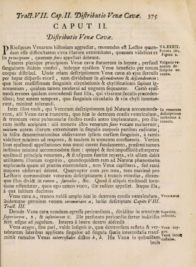 CAPUT II. jDijiributio Vena Cava. PRiufquam Venarum hiftoriam aggrediar, monendus eft Le&amp;or qtfam- ta.xxxjx, dam efTe difficultatem circa illarum extremitates, quaenam videlicet ex Pjfg^a3Jz’ iis principium , qusenam finis appellari debeant. Veteres plerique principium Venae cavae ftatuerunt in hepate perfuafi Vulgarisv<« fanguinem ibidem confici, indeque ejufdem Ventu beneficio per totum fc*ip™0 d er~ corpus diftribui. Unde etiam defcriptionem Venae cavae ab ejus furculis remea, per hepar difperfis exorfi , eam dividebant in afeendentem &amp; defeendentem; quae licet craffiffimam fanguinis circulationis &amp; chylificationis fapiant ig¬ norantiam , quidam tamen moderni ad unguem fequuntur. Certo ejuf- modi errores quidem concedendi funt illis, qui vixerunt faeculis praeceden¬ tibus ; hoc autem tempore, quo fanguinis circulatio &amp; vix chyli innotue¬ runt, minime tolerandi. Inter illos vero , qui Venarum defcriptionem ipfi Natur® accommoda- in venarum runt, alii Venae cavae truncum, quo hiat in dextrum cordis ventriculum, deferiptione &amp; truncum venae pulmonariae finiftro cordis antro implantatum, pro illa- ^n^ur *' rum initio accipiunt : alii truncos illos venarum fines vocare maluerunt; initium autem illarum extremitates in fingulis corporis partibus radicatas; in hifce denominationibus obfervantes ipfum curfum fanguinis, a ramis - videlicet minimis ad majores, &amp; tandem in truncum confluentis. Verum licet ejufmodi appellationes non omni carent fundamento, prxfenti tamen, inftituto minime accommodat® funt : quippe &amp; fereimpoffibileefireperre ejufmodi principia venarum, h fi ufquam fuerint reperta, vix ullam dabit utilitatem illorum cognitio , quandoquidem tam ad Naturx phaenomena, explicanda quam ad praxim exercendam , non Venae capillares , fed rami majores obfervari debent. Quapropter cum pro mea, tum maxime pro Ledtoris commoditate venarum defcriptionem a truncis exordiar, dicam¬ que illos dividi in ramos , furculos , &amp;c. Quod fi aliquis ejufmodi locu¬ tione offendatur, quos ego ramos voco, ille radices appellet. Itaque illa,, k qua initium ducimus Vena cava a, trunco valde amplo hiat in dextrum cordis ventriculum, Venacavas ibidemque germinat venam coronariam a, latius deferiptam Capite VIIL ‘Traft. III. Deinde Vena cava nondum egreffa pericardium , dividitur in trtincum Superior, fuperiorem , b , &amp; inferiorem c. Ille perforato pericardio fertur indivifus lnfcrior* fere ufque ad jugulum. Interea a latere dextro abfcedit Vena azygos, fine pari, valde inlignis D, quae dextrorfum reflexa &amp; ver- Vena azy- tebrarum lateribus applicata fingulos ad fingula fpatia intercoftalia tranf- sos- . mittit ramulos Venas intercoflales di&amp;os b, b. H® Ven® in quibufdam,J*ft*1^tv^ locis