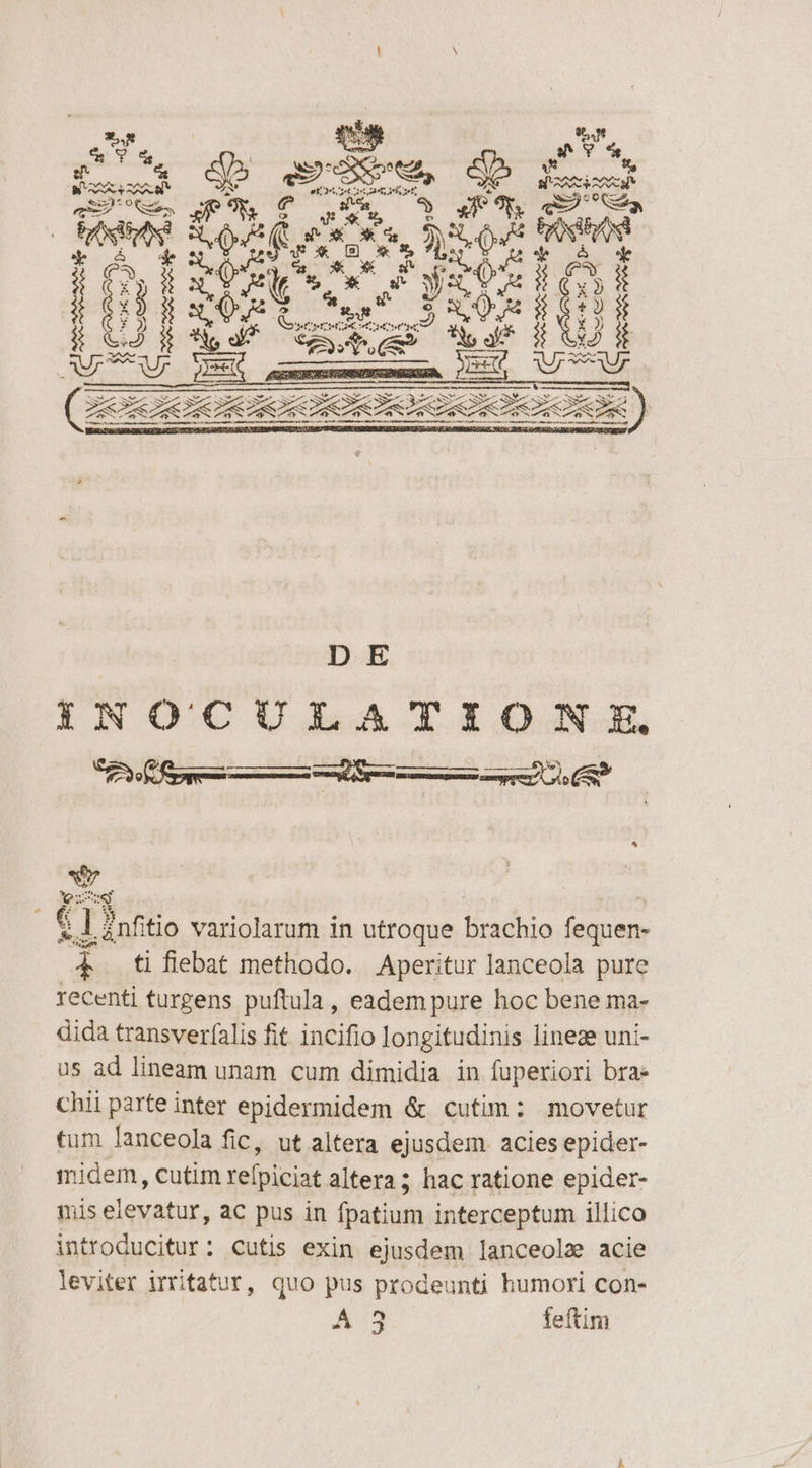 - a Vf o s CNPHRE a QE ed, e Pocich S MN ^ e : ai s A 3 4e 7j. cx 20 S : 4 X X wq p , TES MSEESIE ü CJ Bou u^ esee m Usa H QU Ar Ur TES s. iE NU ME ———— DE YTINOCUILATIONISE. ánfitio variolarum in utroque brachio fequen- $4 tifiebat methodo. Aperitur lanceola pure recenti turgens puftula, eadem pure hoc bene ma- dida transverfalis fit incifio longitudinis lineze uni- us ad lineam unam cum dimidia in fuperiori brae chii parte inter epidermidem &amp; cutim: movetur tum lanceola fic, ut altera ejusdem. acies epider- midem, cutim refpiciat altera; hac ratione epider- mis elevatur, ac pus in fpatium interceptum illico introducitur: cutis exin ejusdem lanceolz acie leviter irritatur, quo pus prodeunti humori con- A 3 feftim